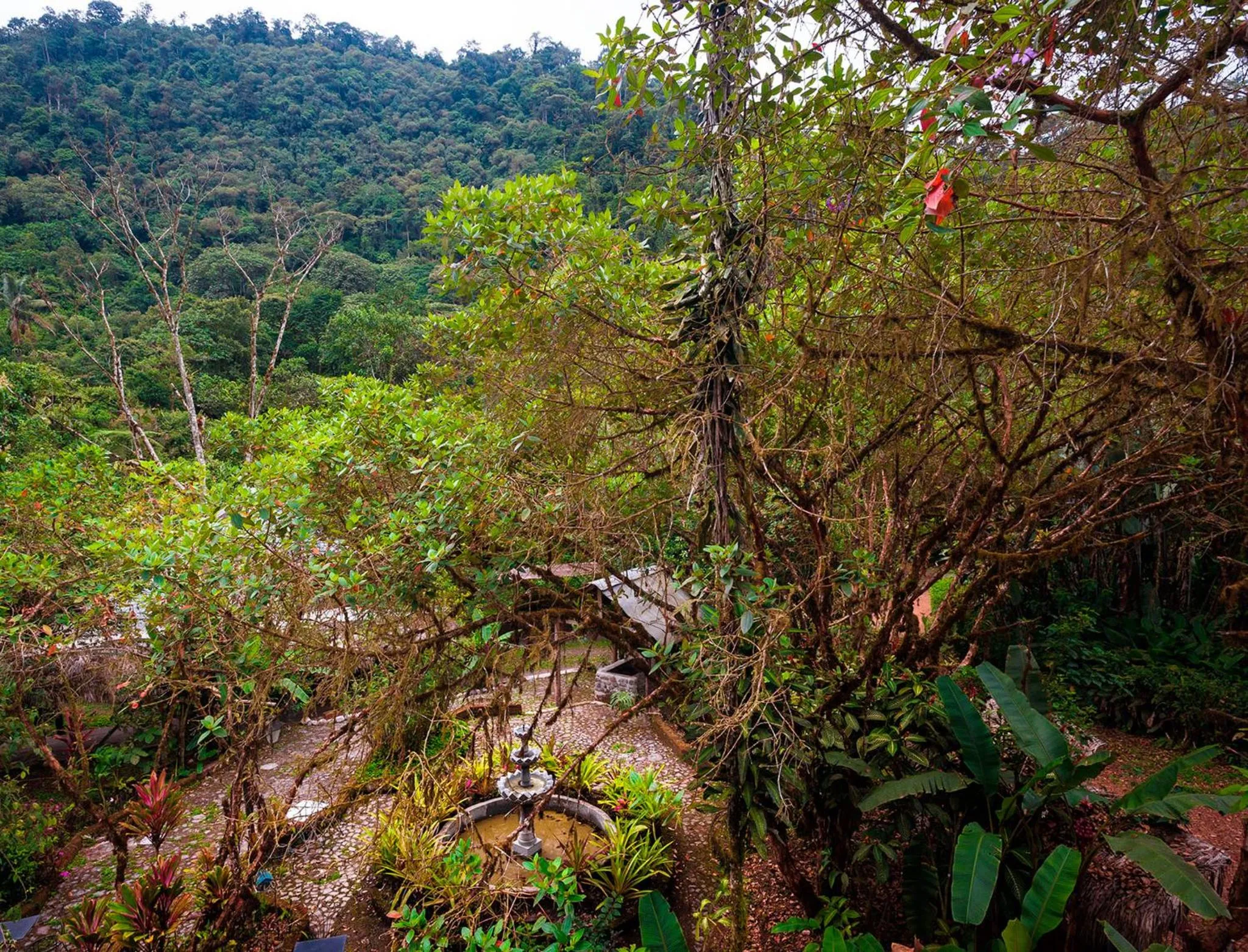 Garden view in El Septimo Paraiso