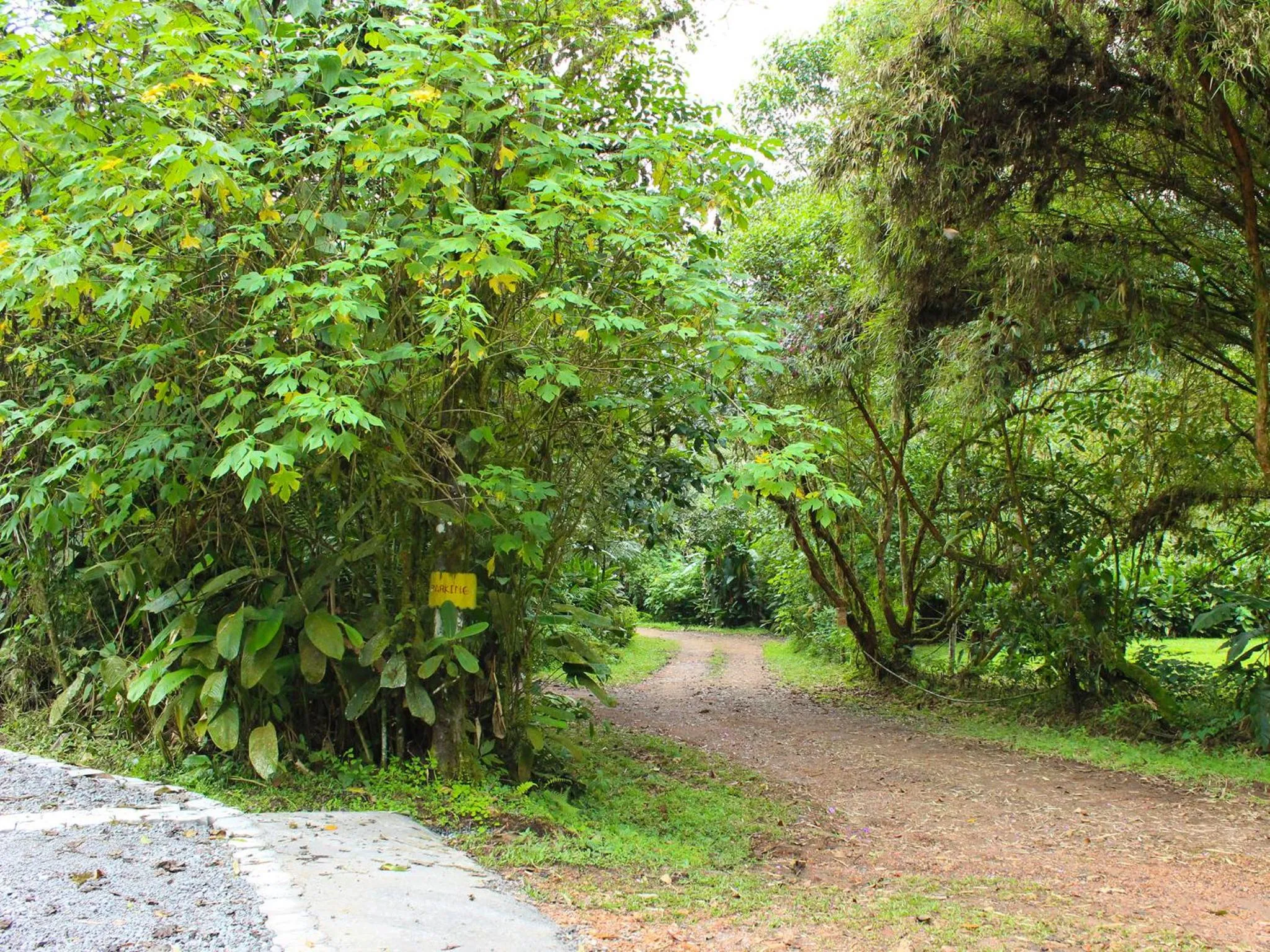 Natural landscape in El Septimo Paraiso