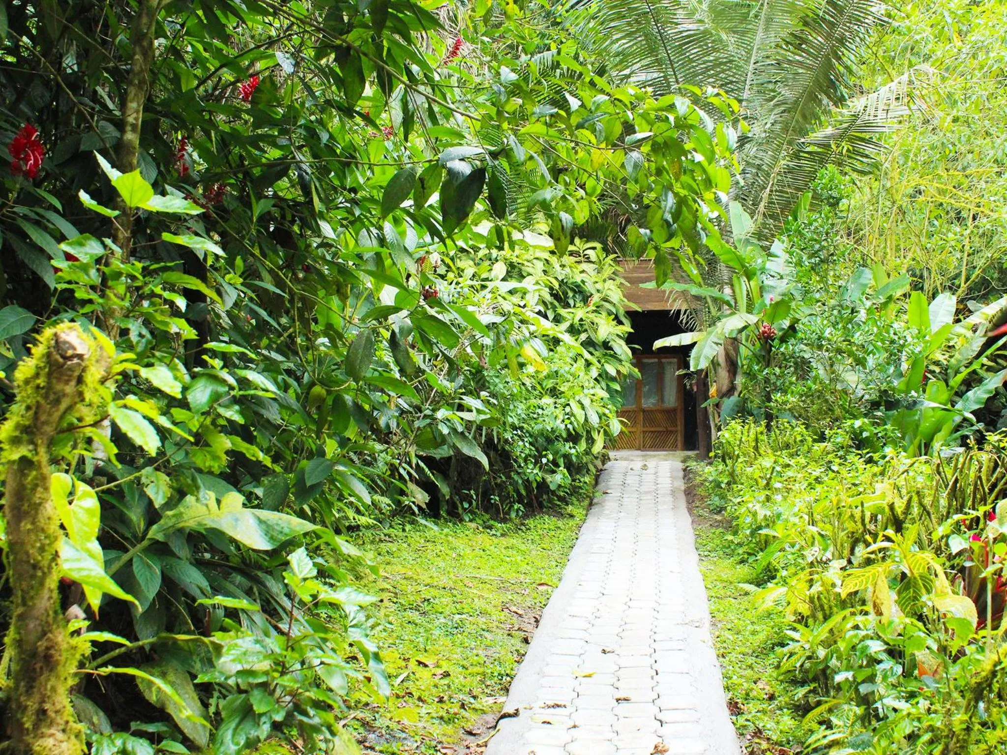 Garden in El Septimo Paraiso