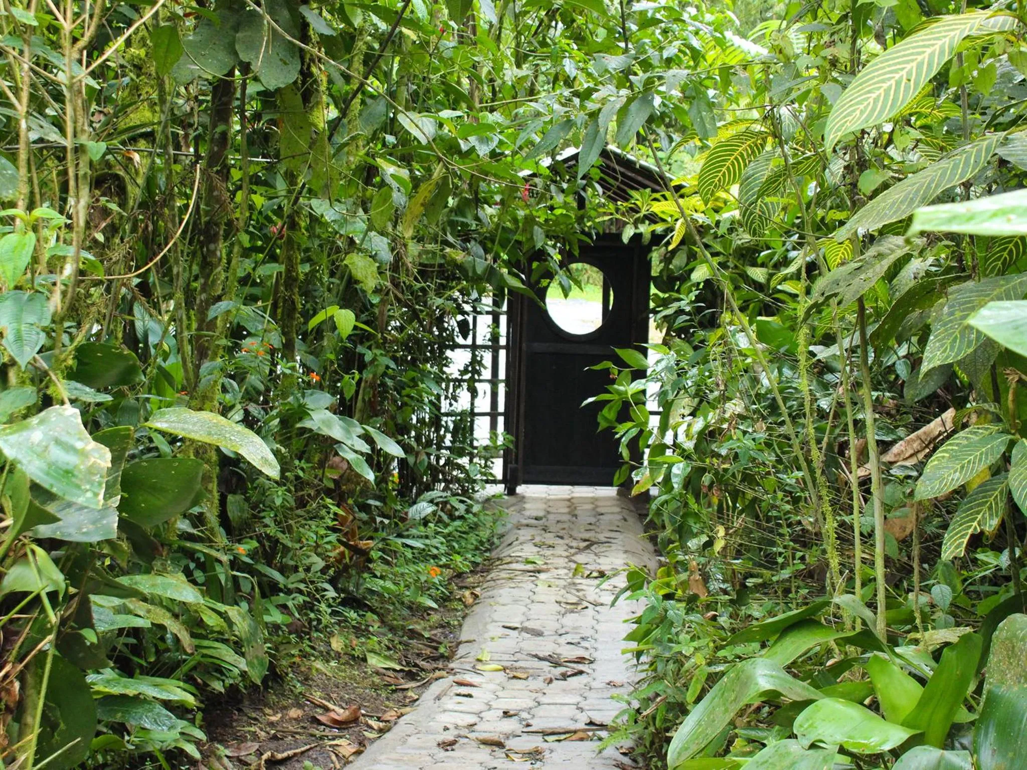 Garden view in El Septimo Paraiso