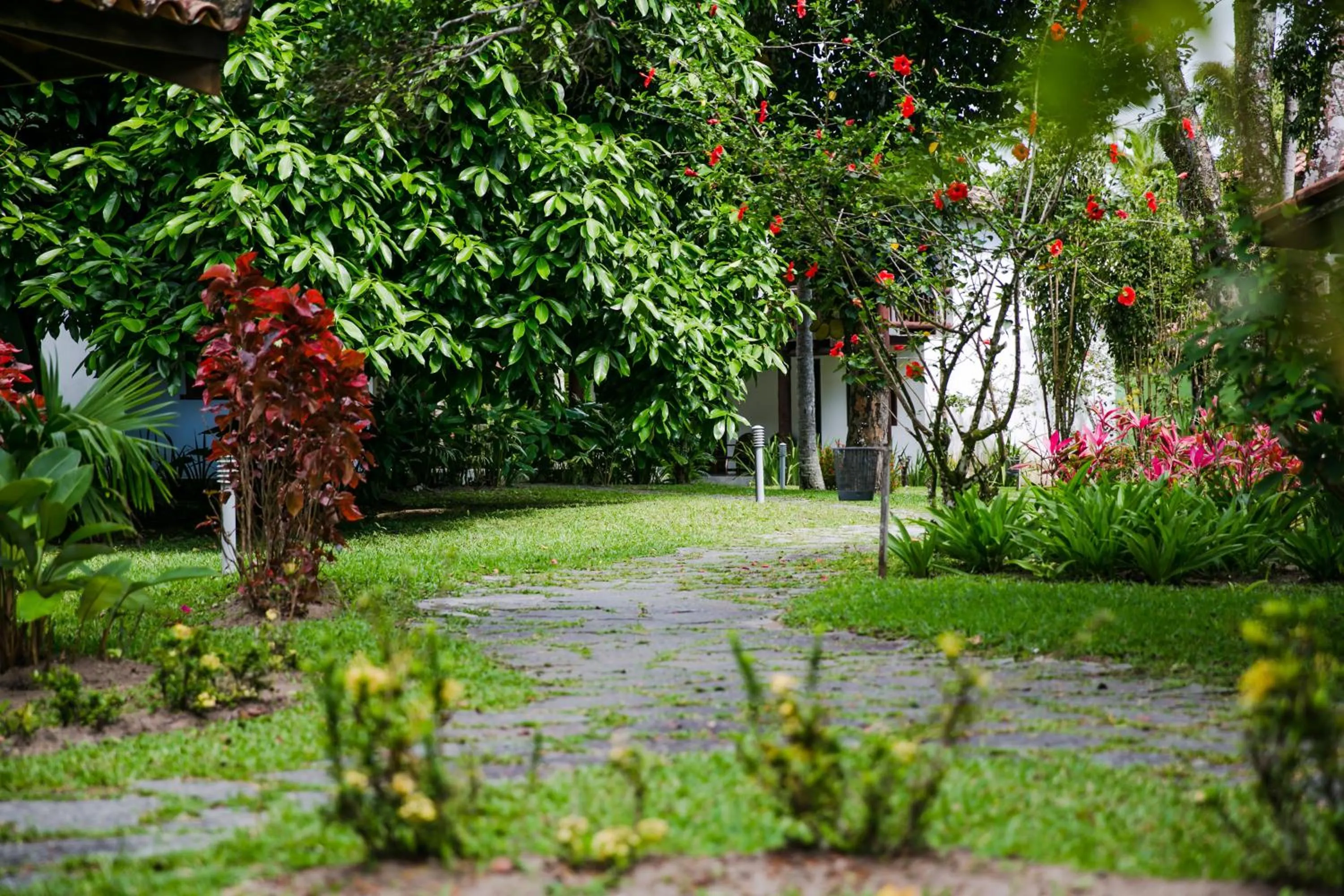 Day in Pousada Vila do Beco