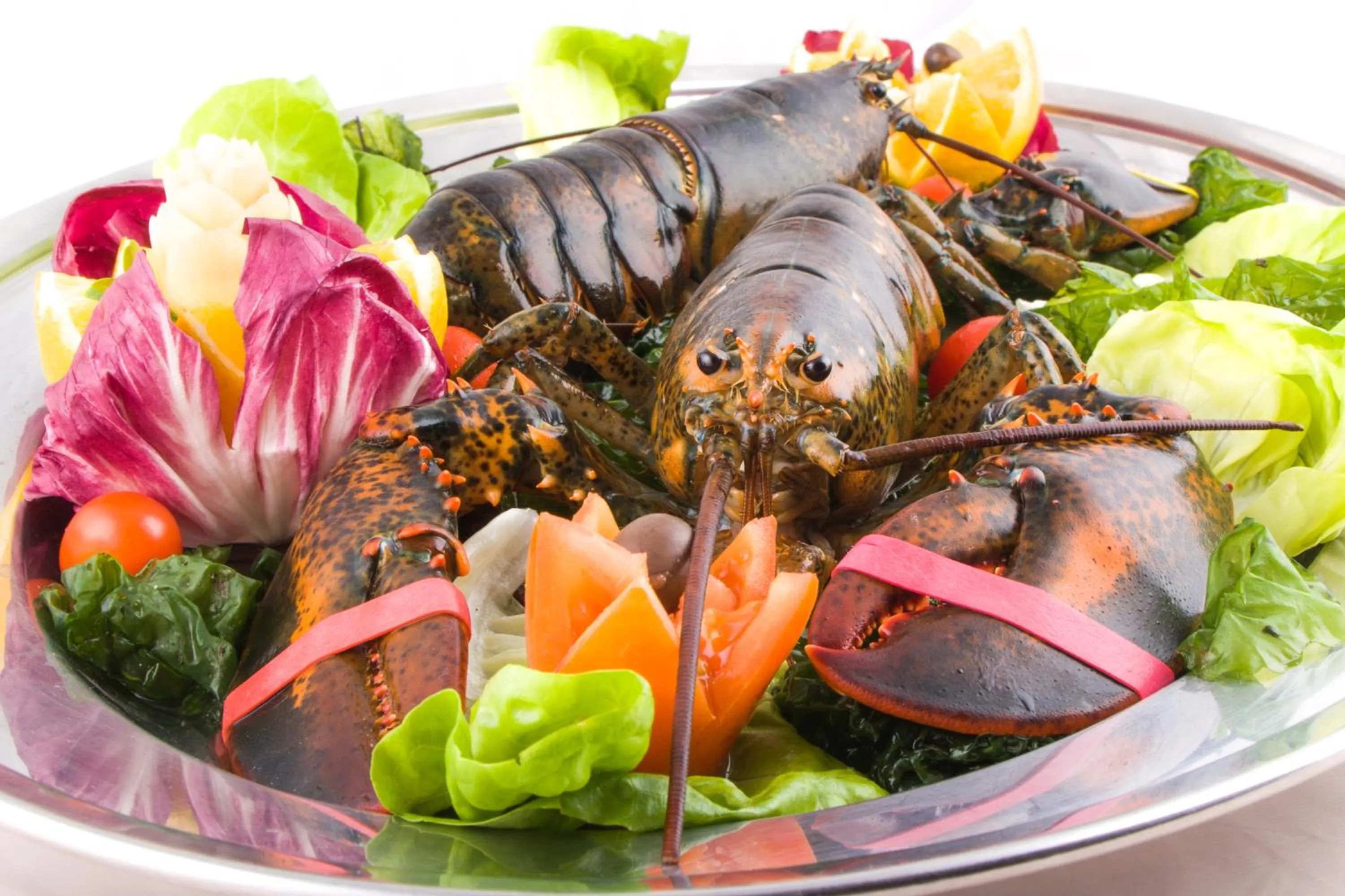 Restaurant/places to eat in La Vigna Hotel