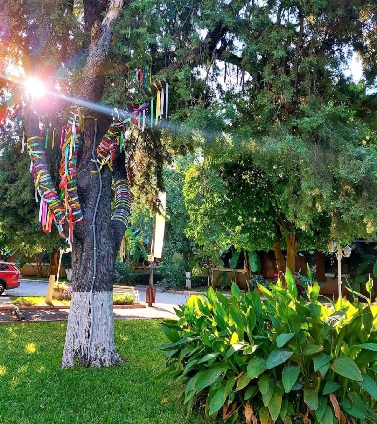 Natural landscape in Çetinel Otel