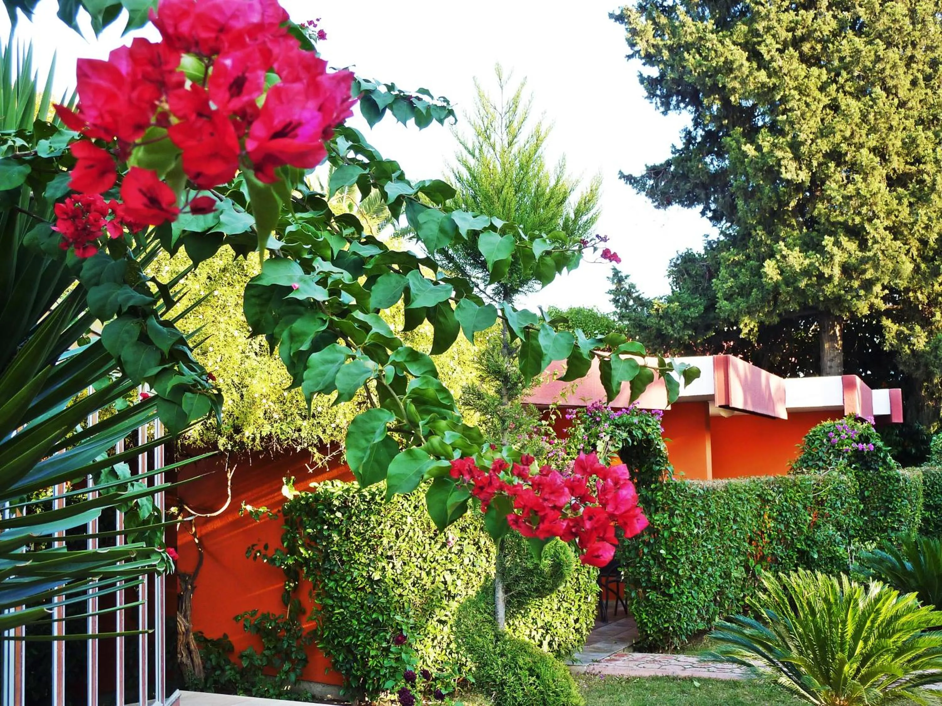 Garden in Çetinel Otel
