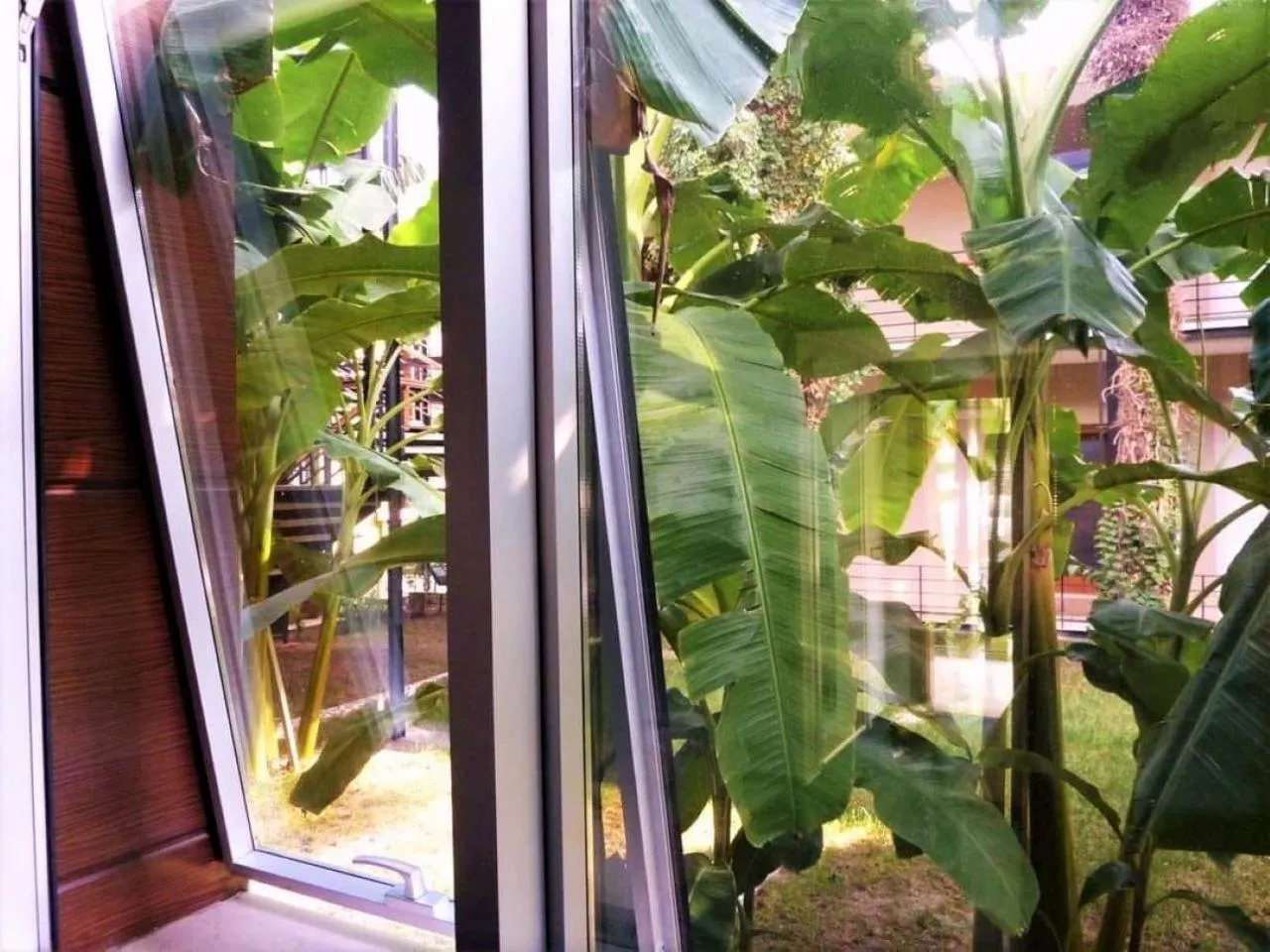 Natural landscape in Çetinel Otel