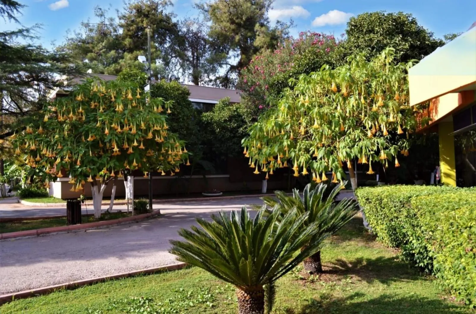 Natural landscape in Çetinel Otel
