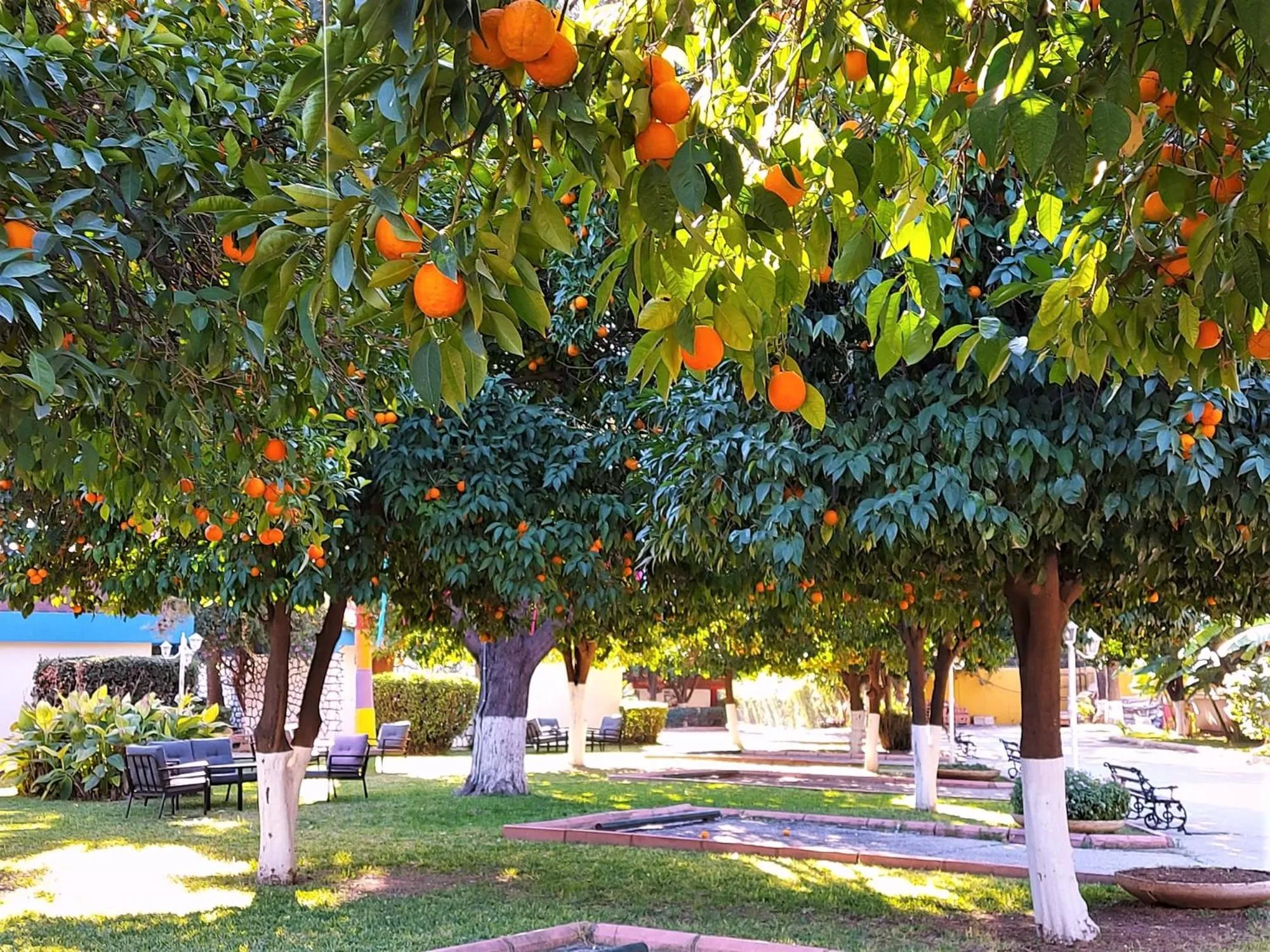 Natural landscape in Çetinel Otel