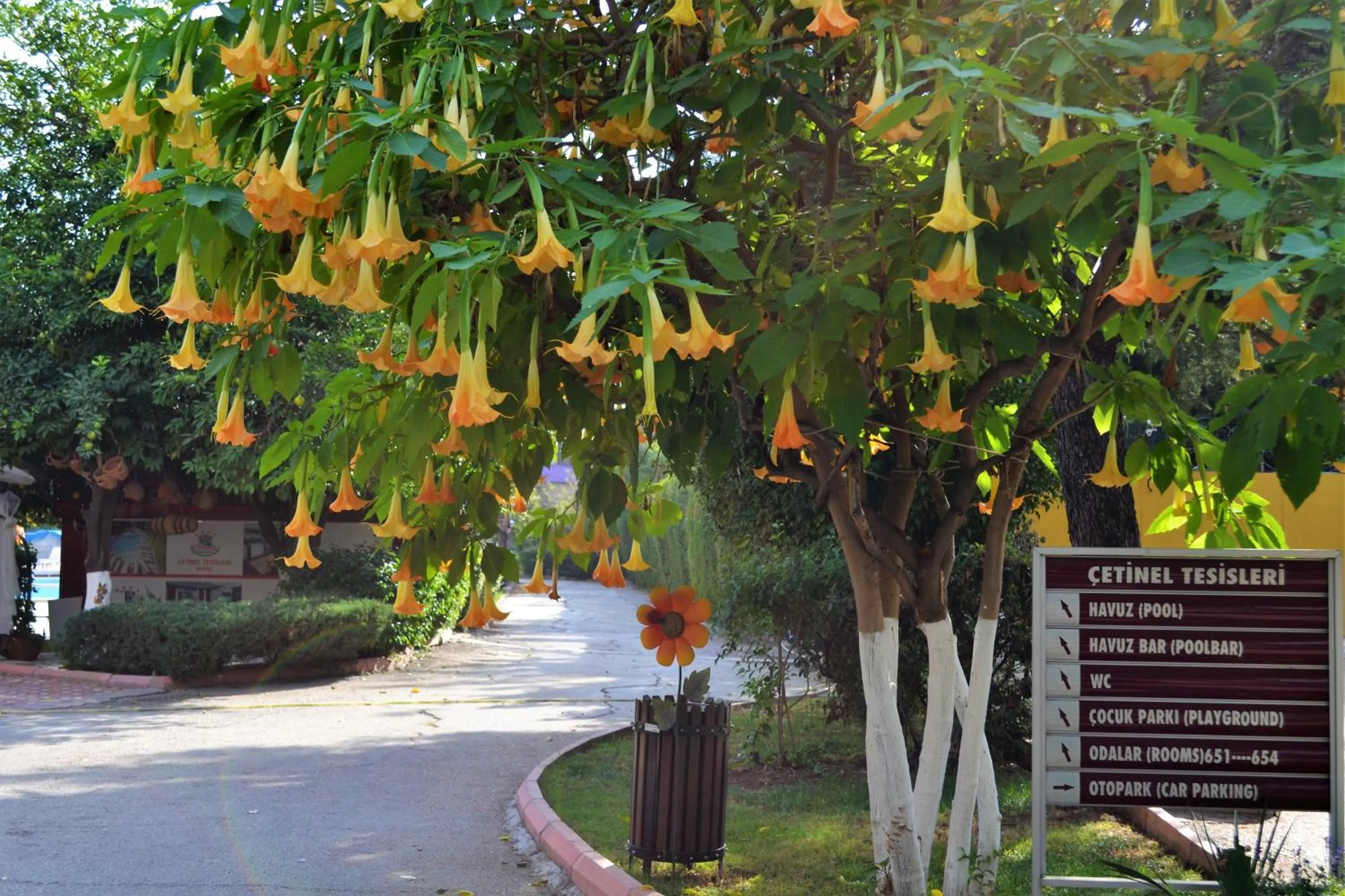 Garden in Çetinel Otel