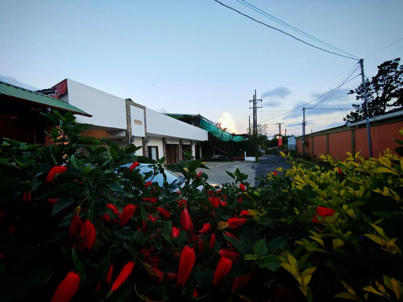 Property building in Hotel las Ardillas Monteverde