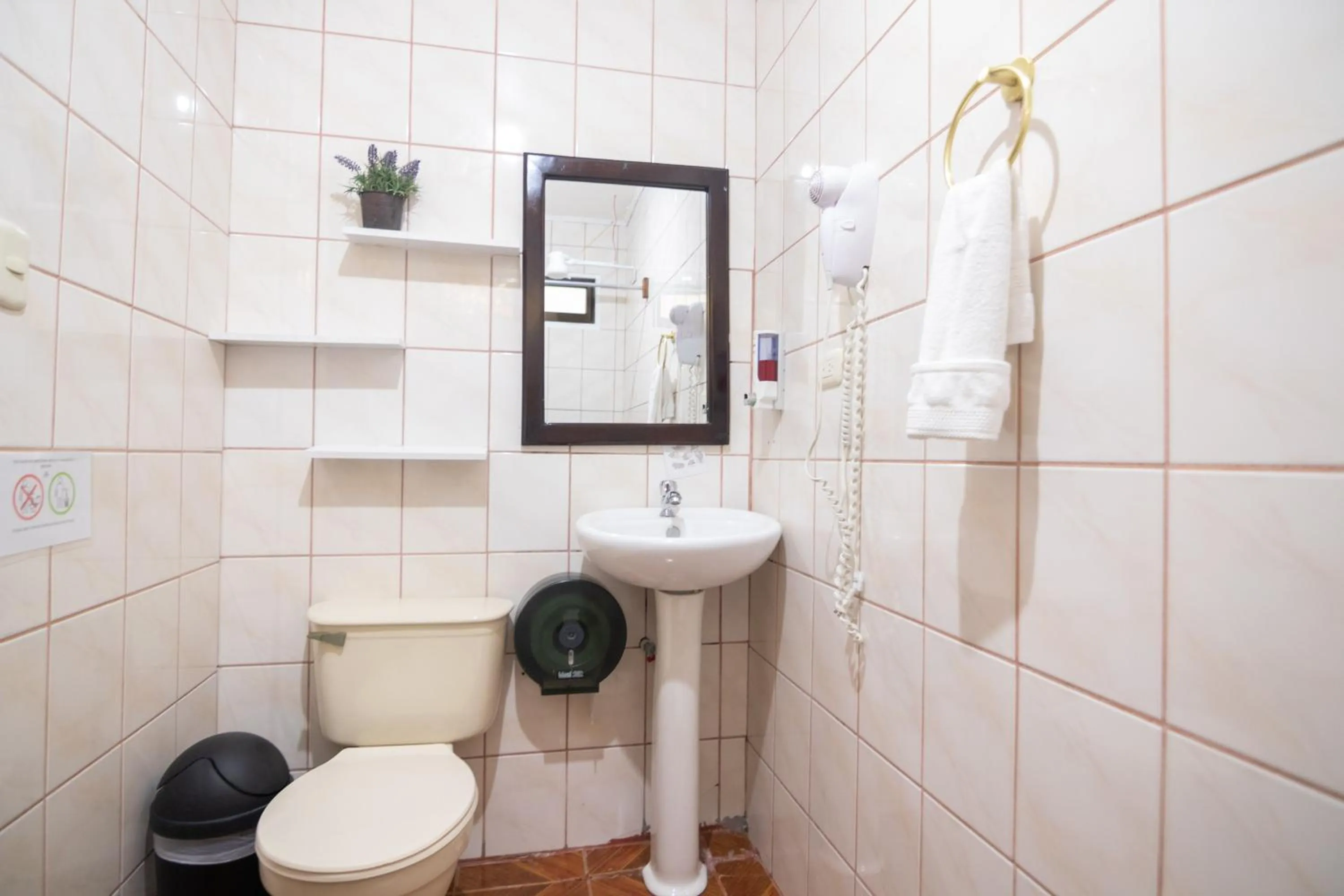 Hotel las Ardillas Monteverde