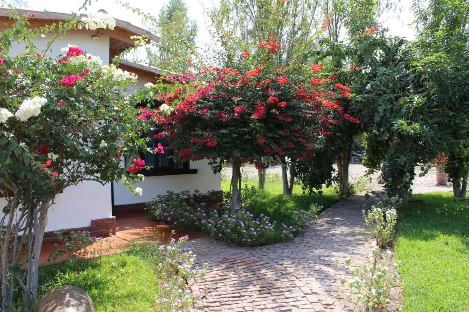 Garden in Casa Hacienda Nasca Oasis