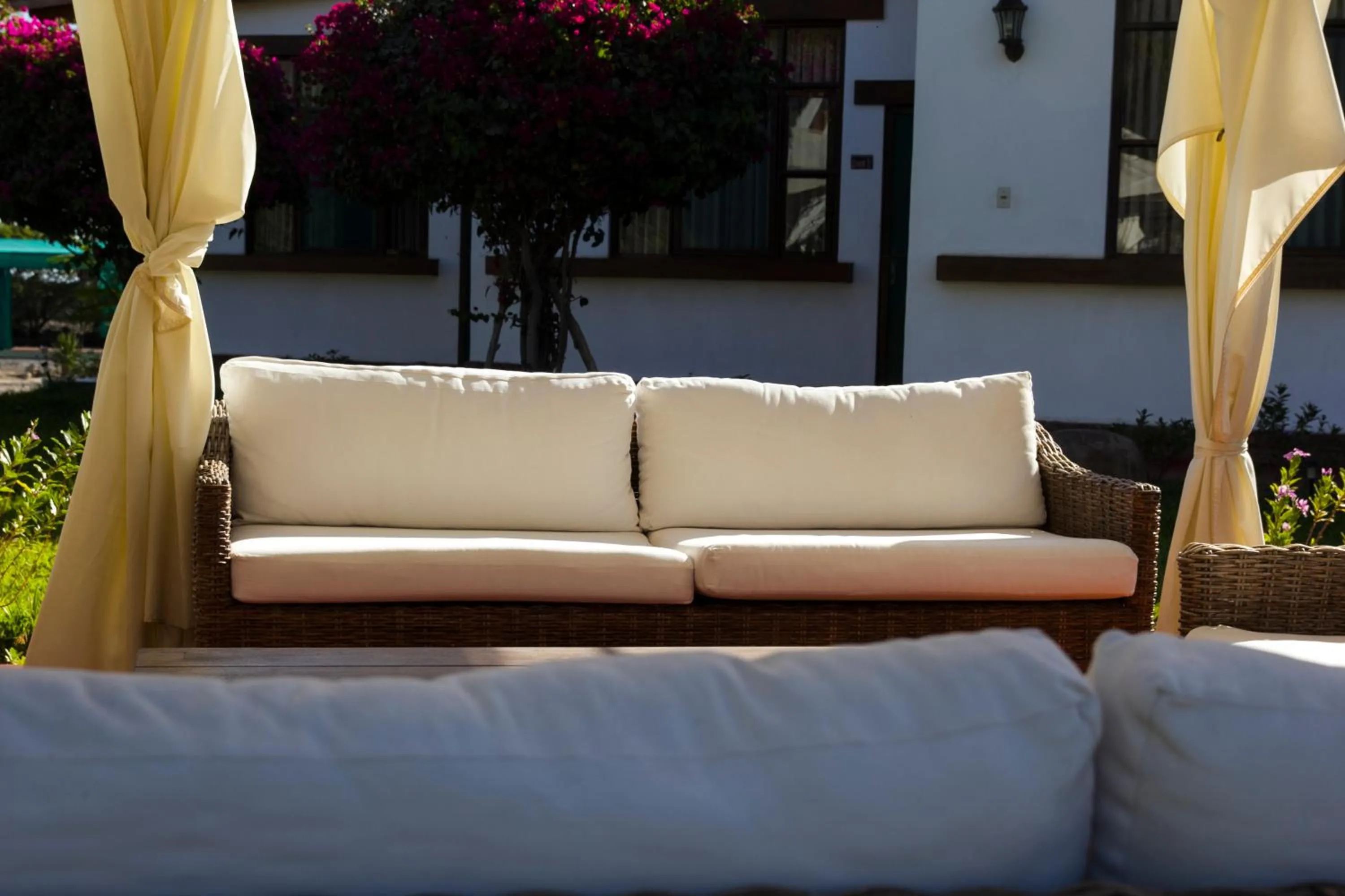BBQ facilities in Casa Hacienda Nasca Oasis