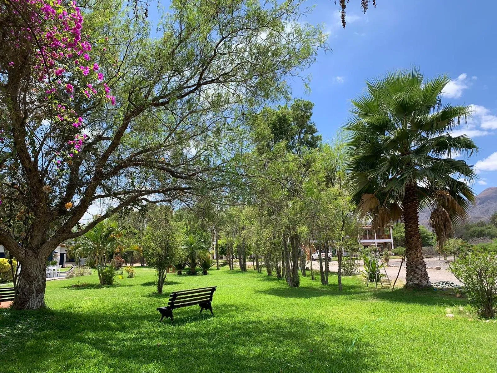 Garden in Casa Hacienda Nasca Oasis