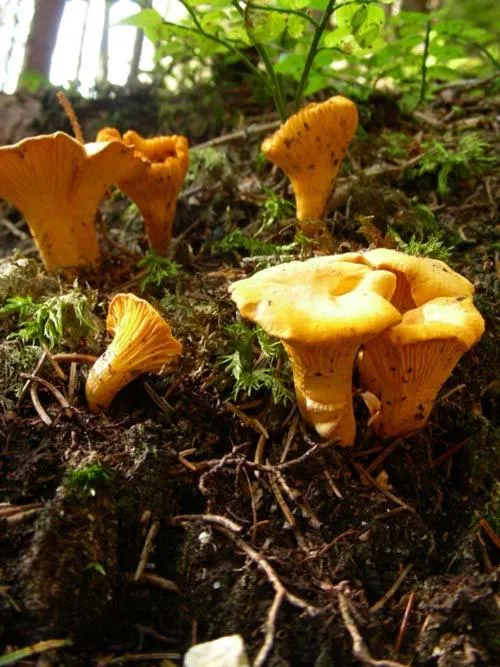 Sports in Appartmenthaus Birkenwald