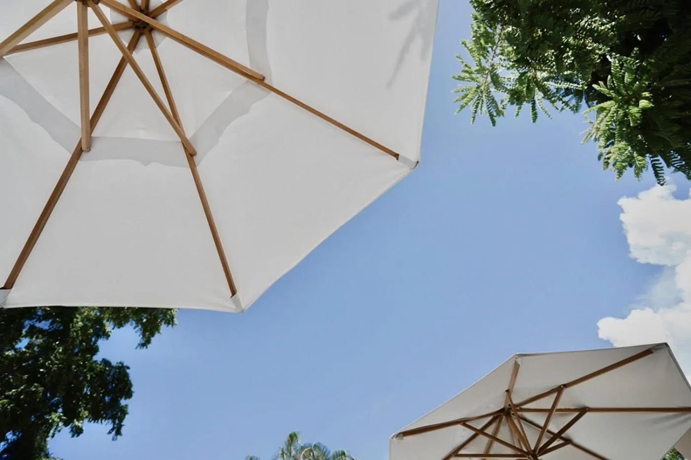 Garden in Estalagem D'Ajuda