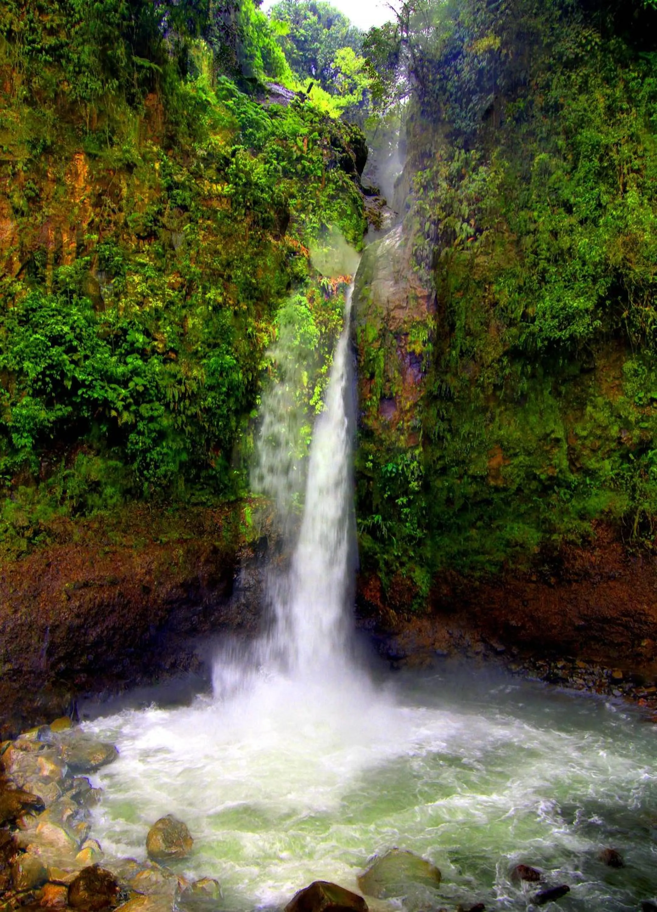 Area and facilities in Hotel Mango Valley