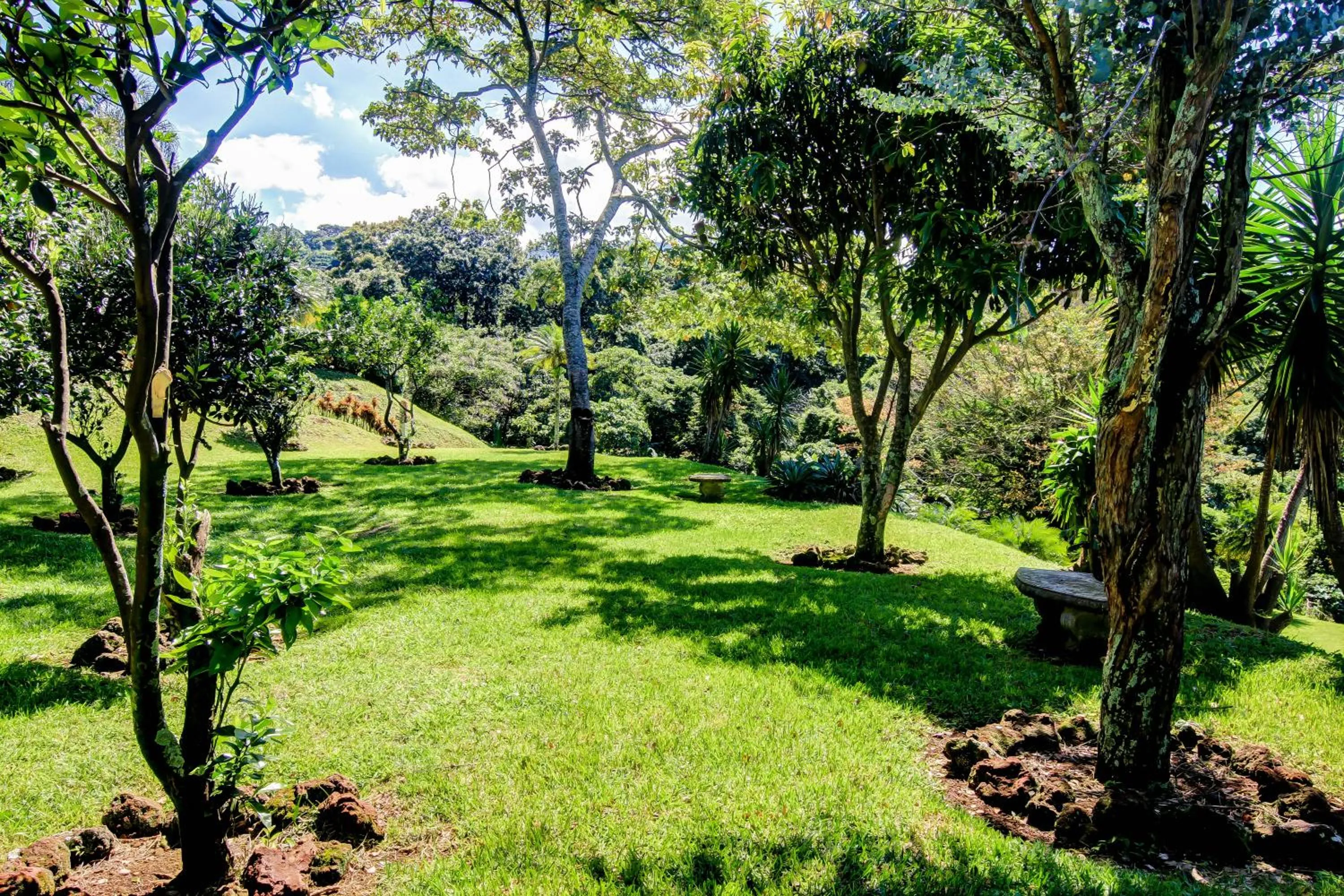 Garden in Hotel Mango Valley