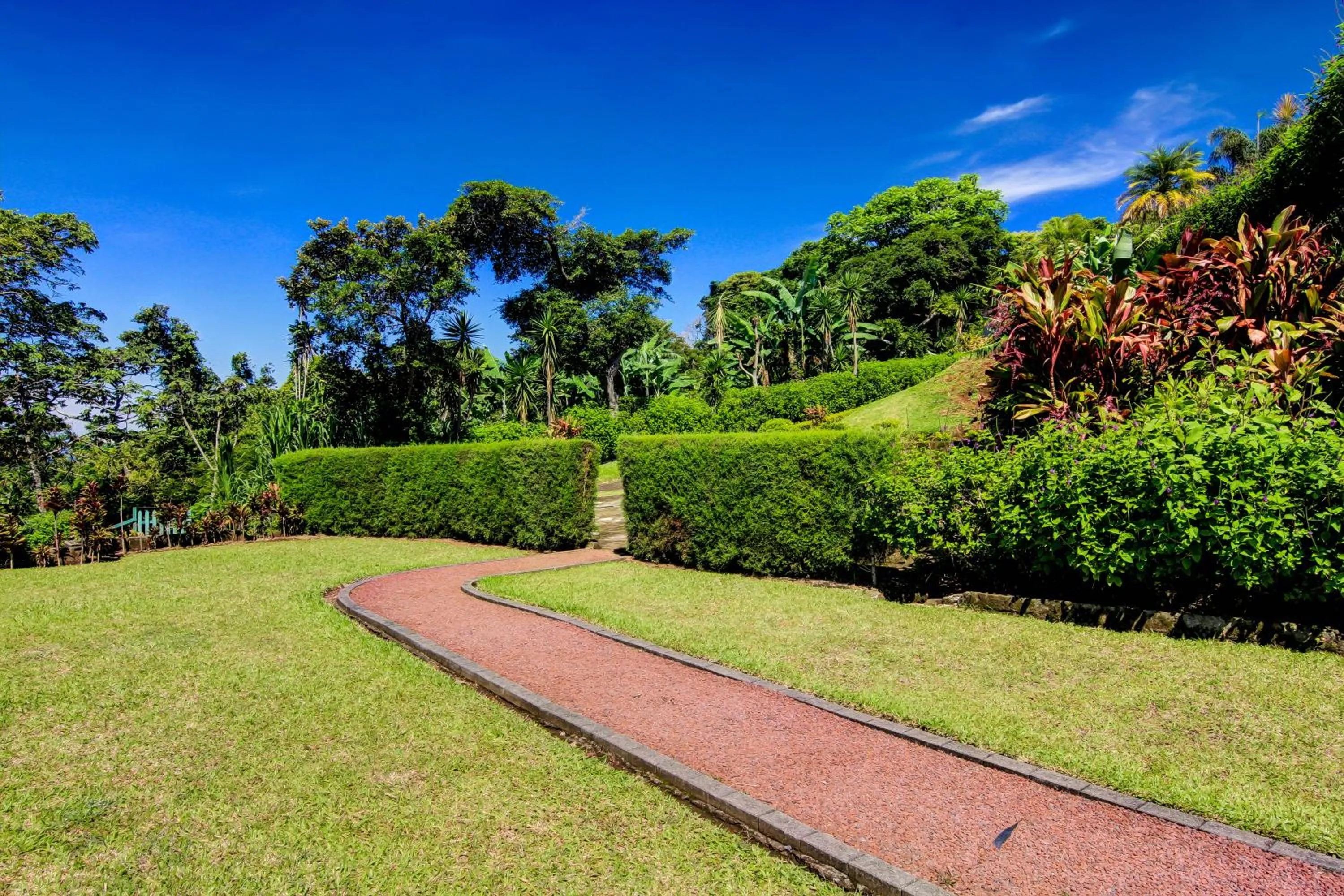 Garden in Hotel Mango Valley