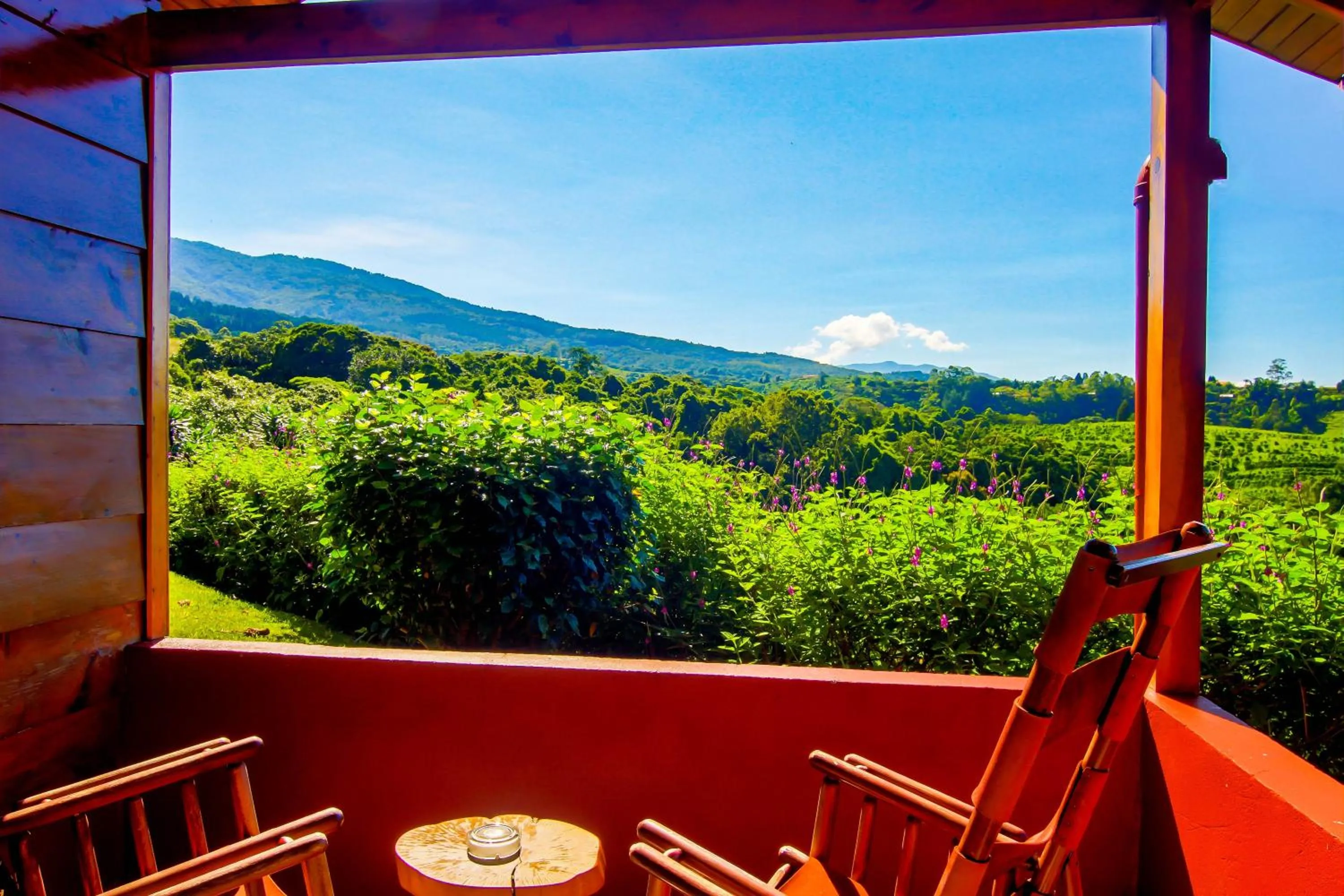 Balcony/Terrace in Hotel Mango Valley