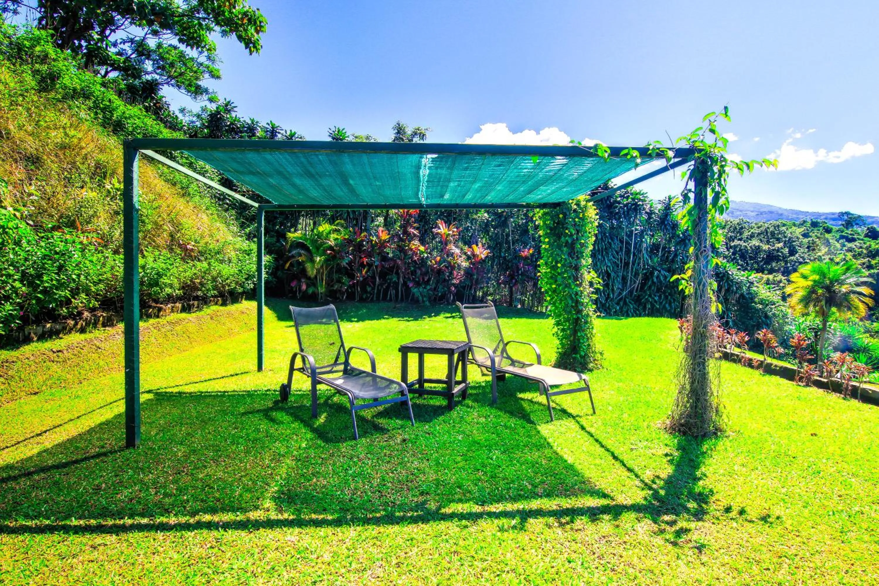 Swimming pool in Hotel Mango Valley