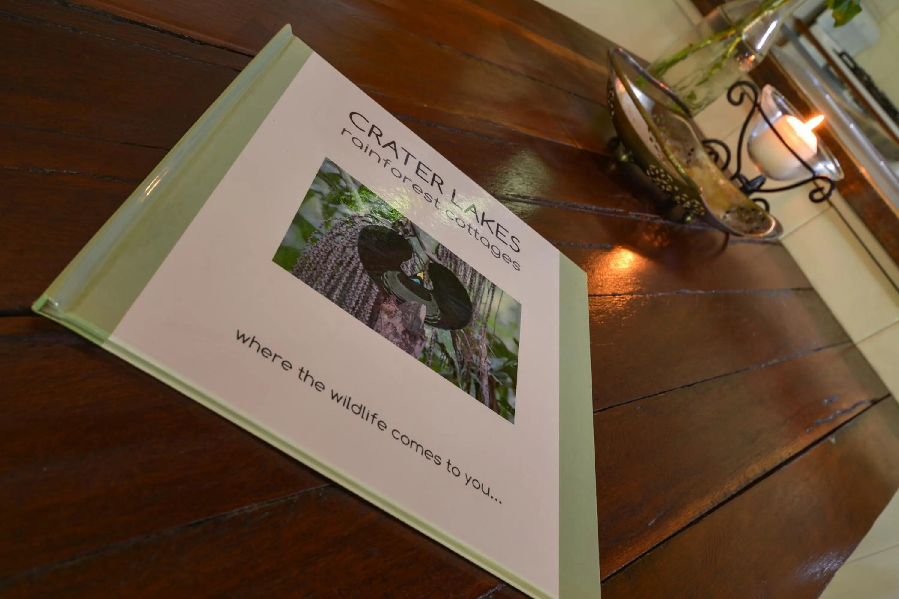 Decorative detail in Crater Lakes Rainforest Cottages