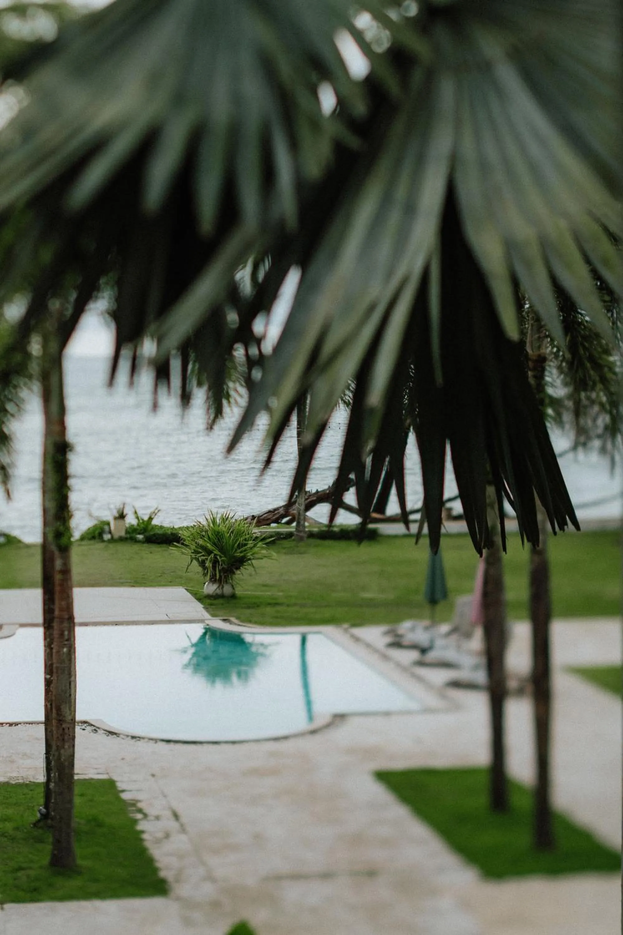 Natural landscape in The Anda Mani Khaolak Beachfront Villas