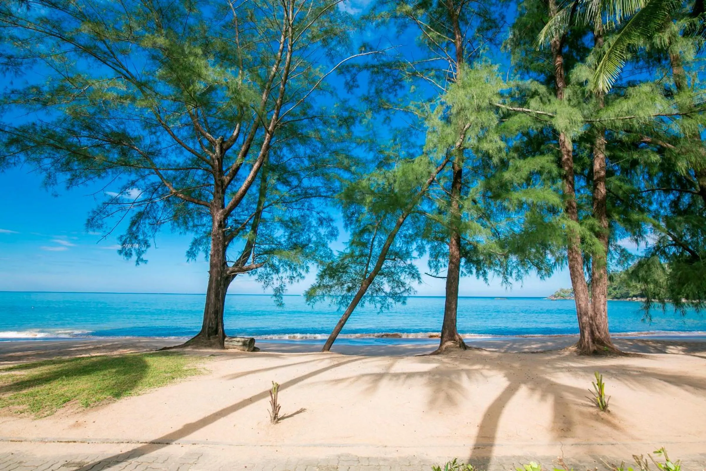 Beach in The Anda Mani Khaolak Beachfront Villas
