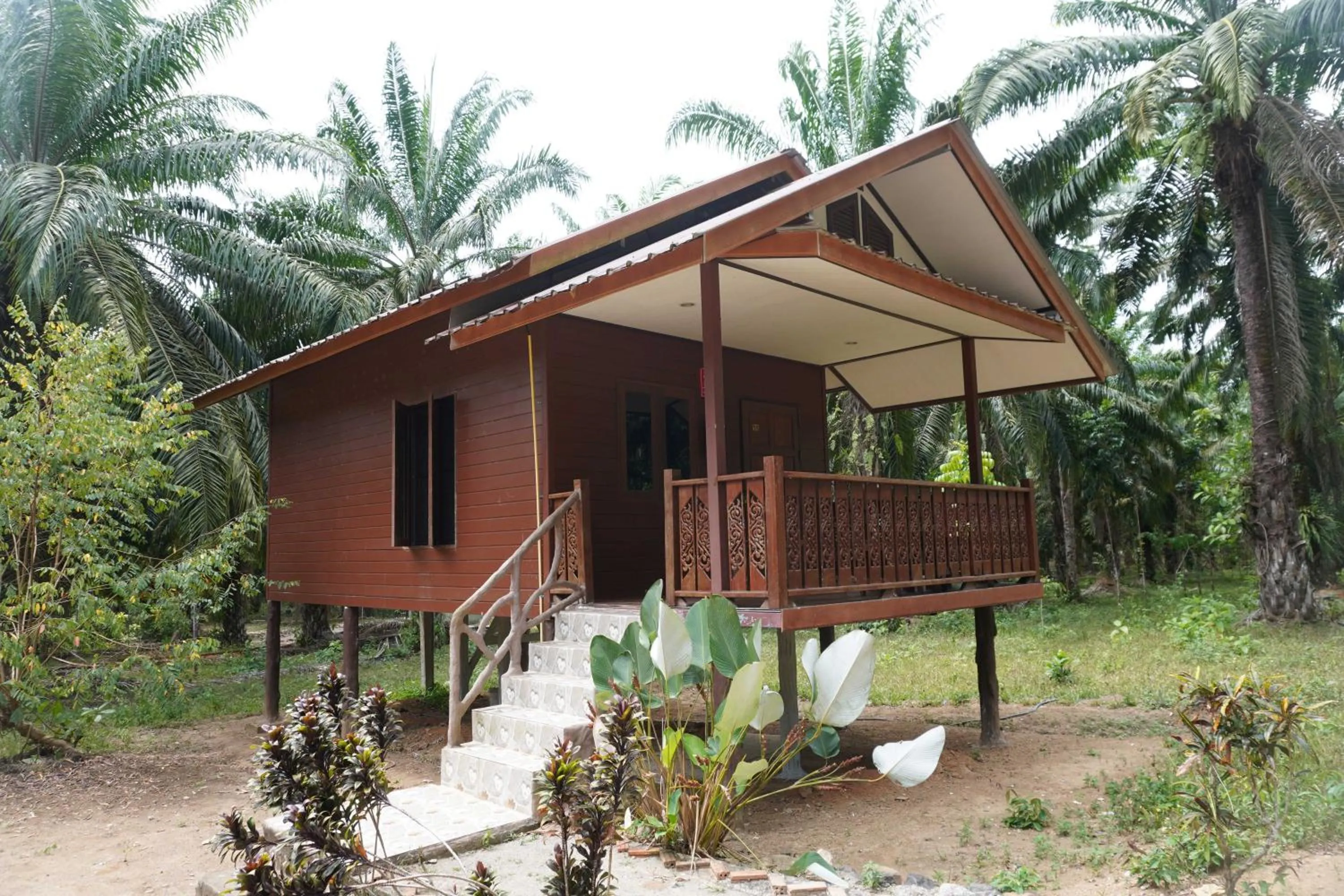 Property building in Khao Sok Palmview Resort