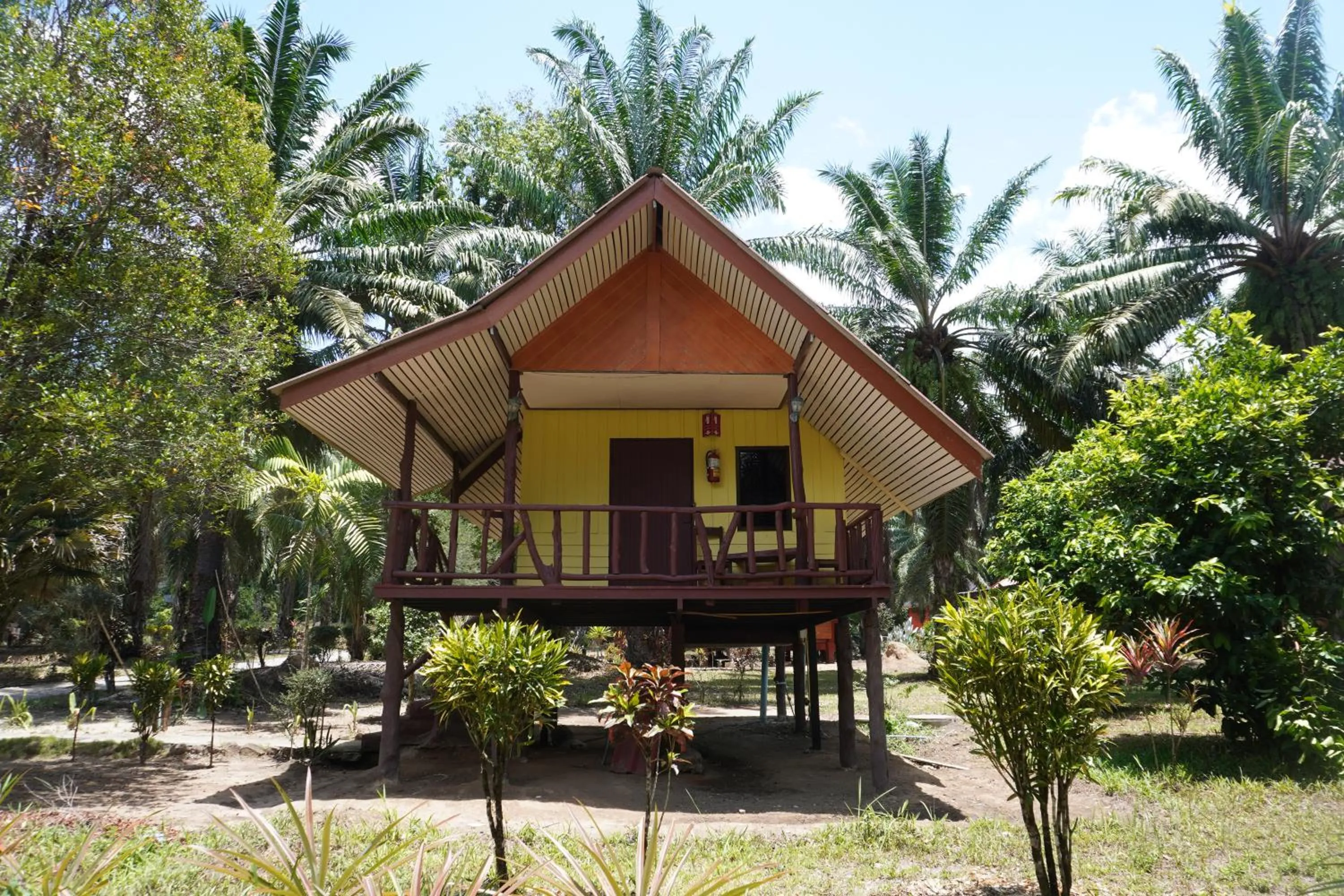 Property building in Khao Sok Palmview Resort