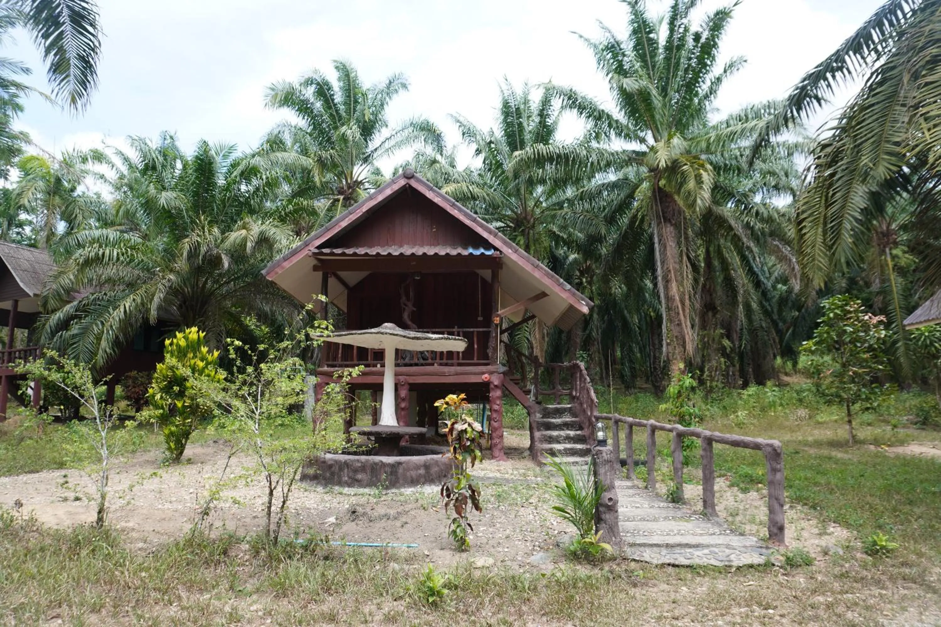 Khao Sok Palmview Resort