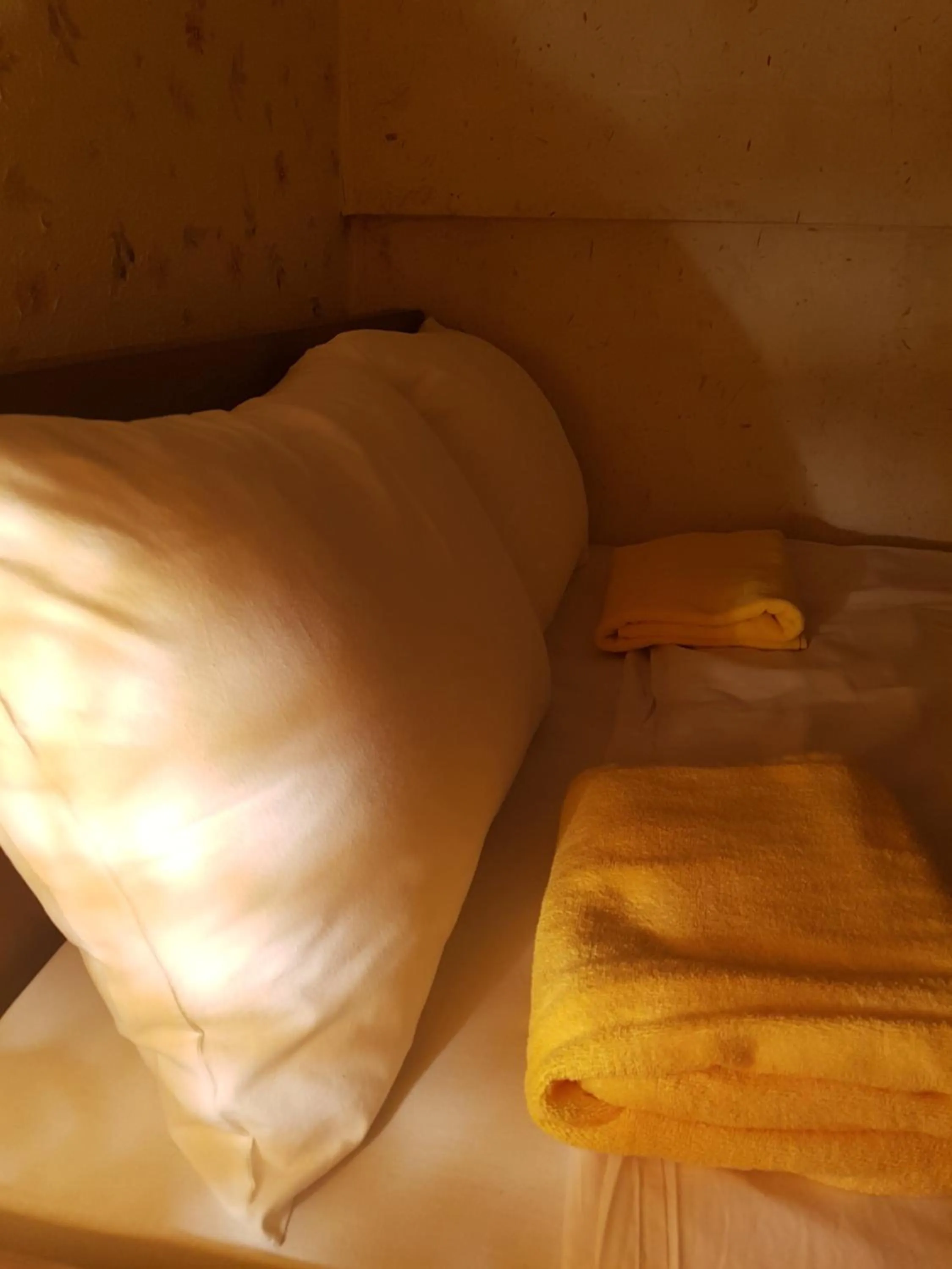 Bed in Shinjuku Sky hostel