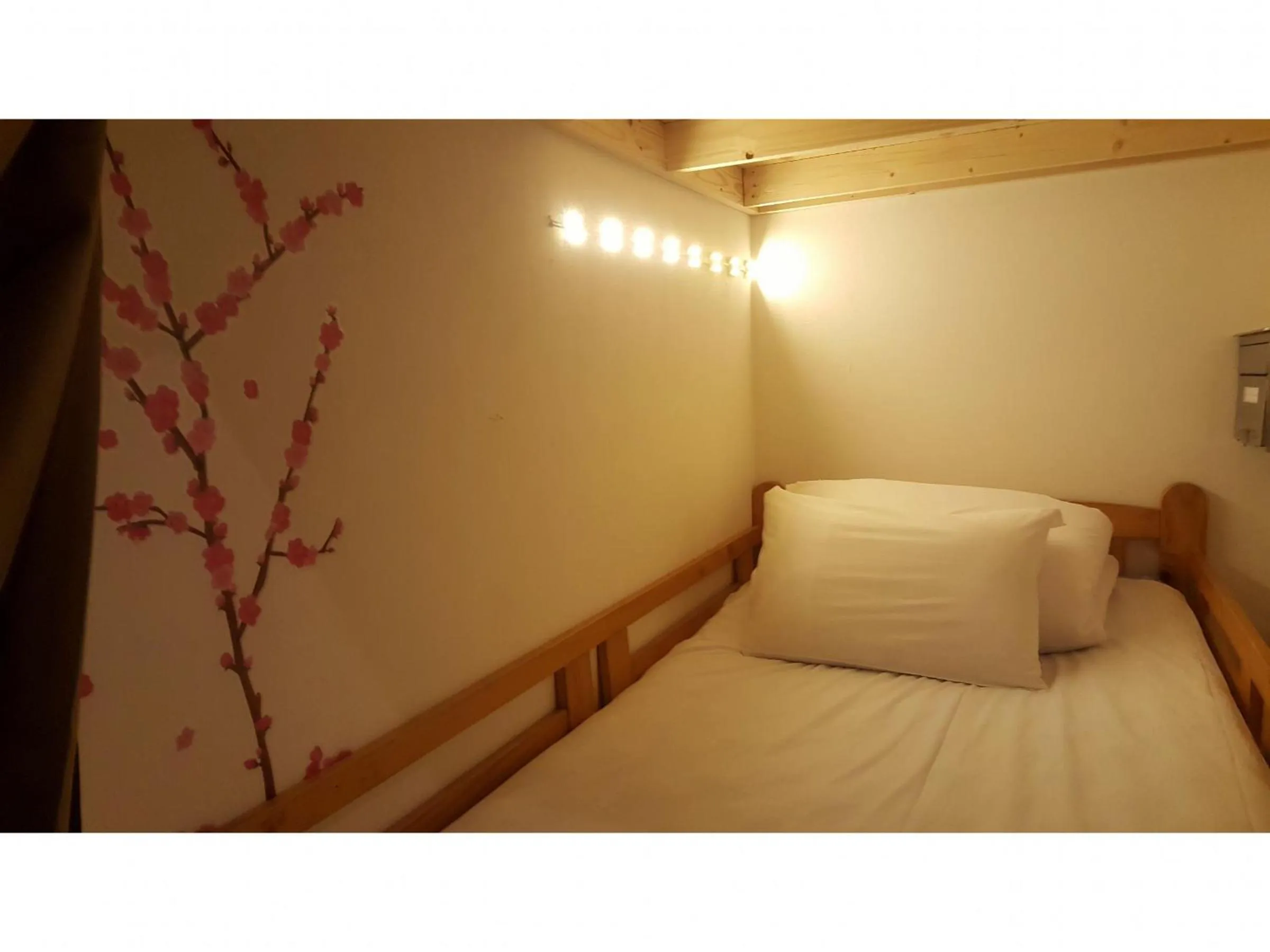 Bed in Shinjuku Sky hostel