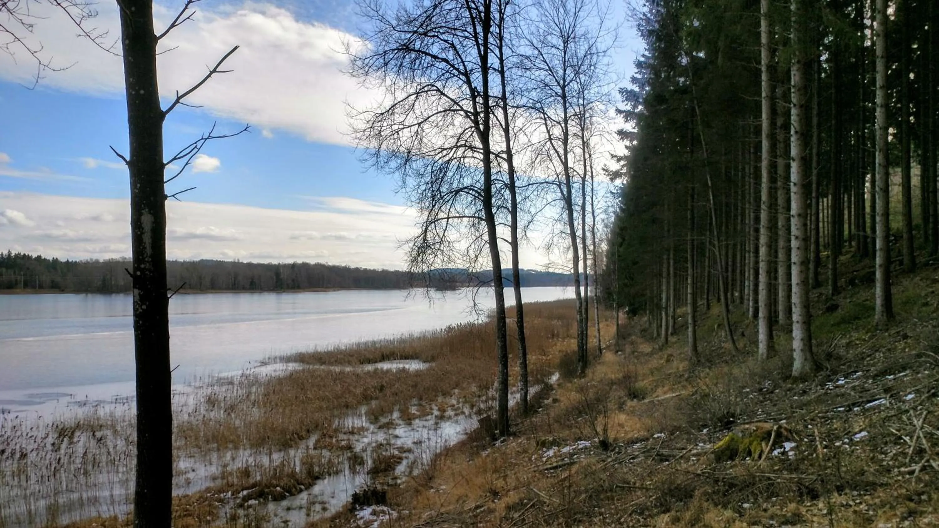Lake view in Kronobergshed vandrarhem och kursgård