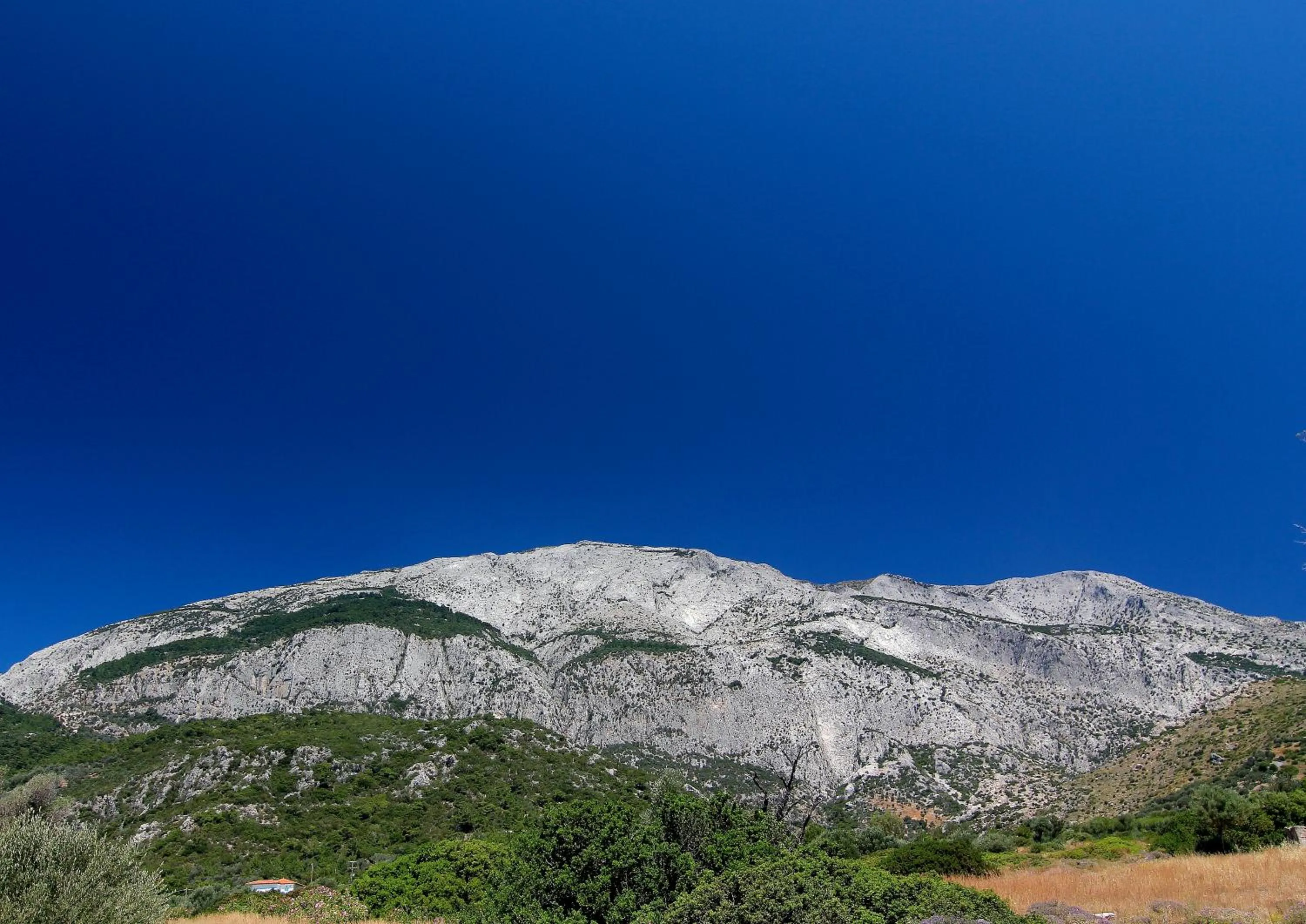 Mountain view in White Rock Apartments