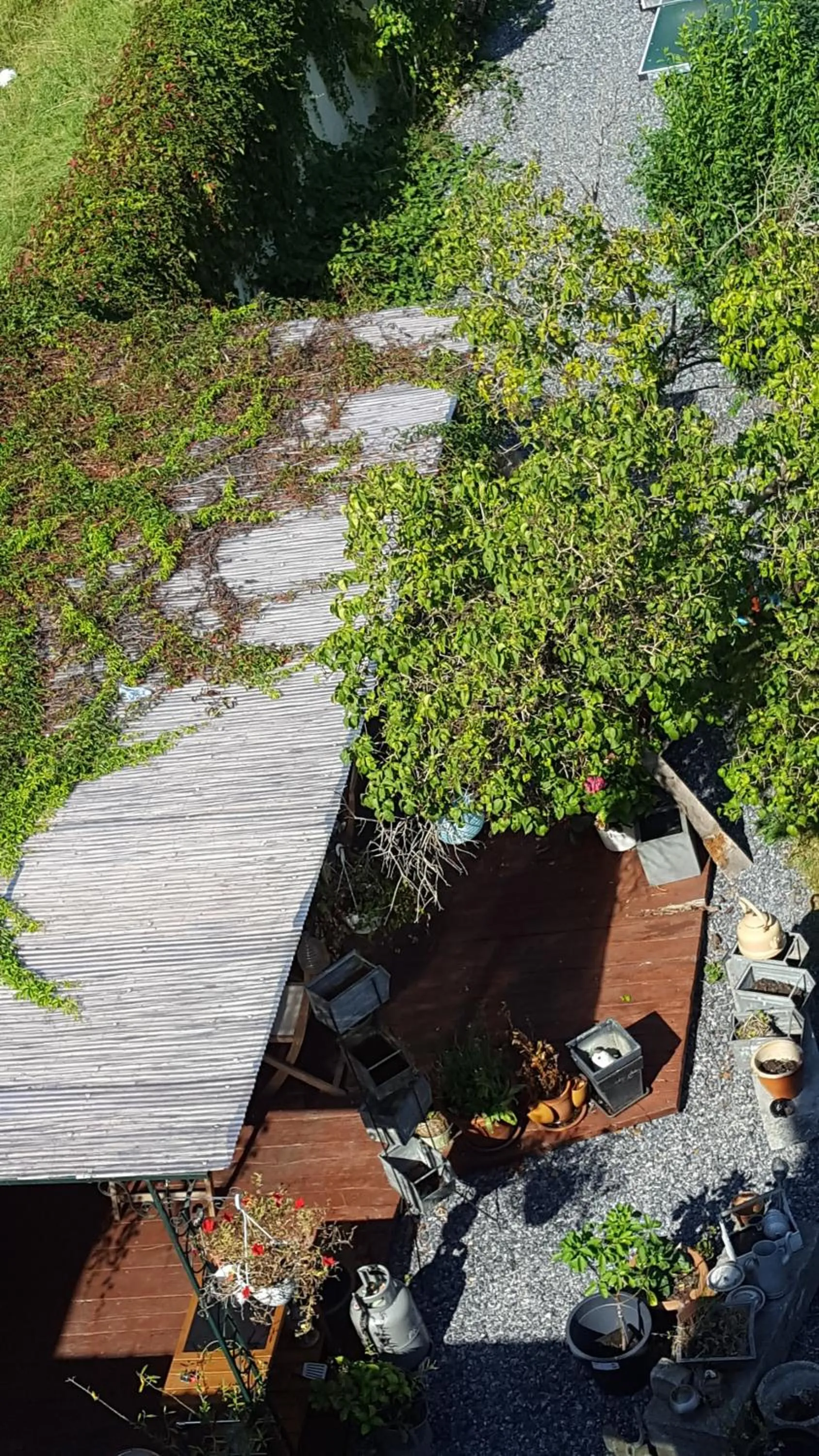 Swimming pool in B&B Le Bonimenteur