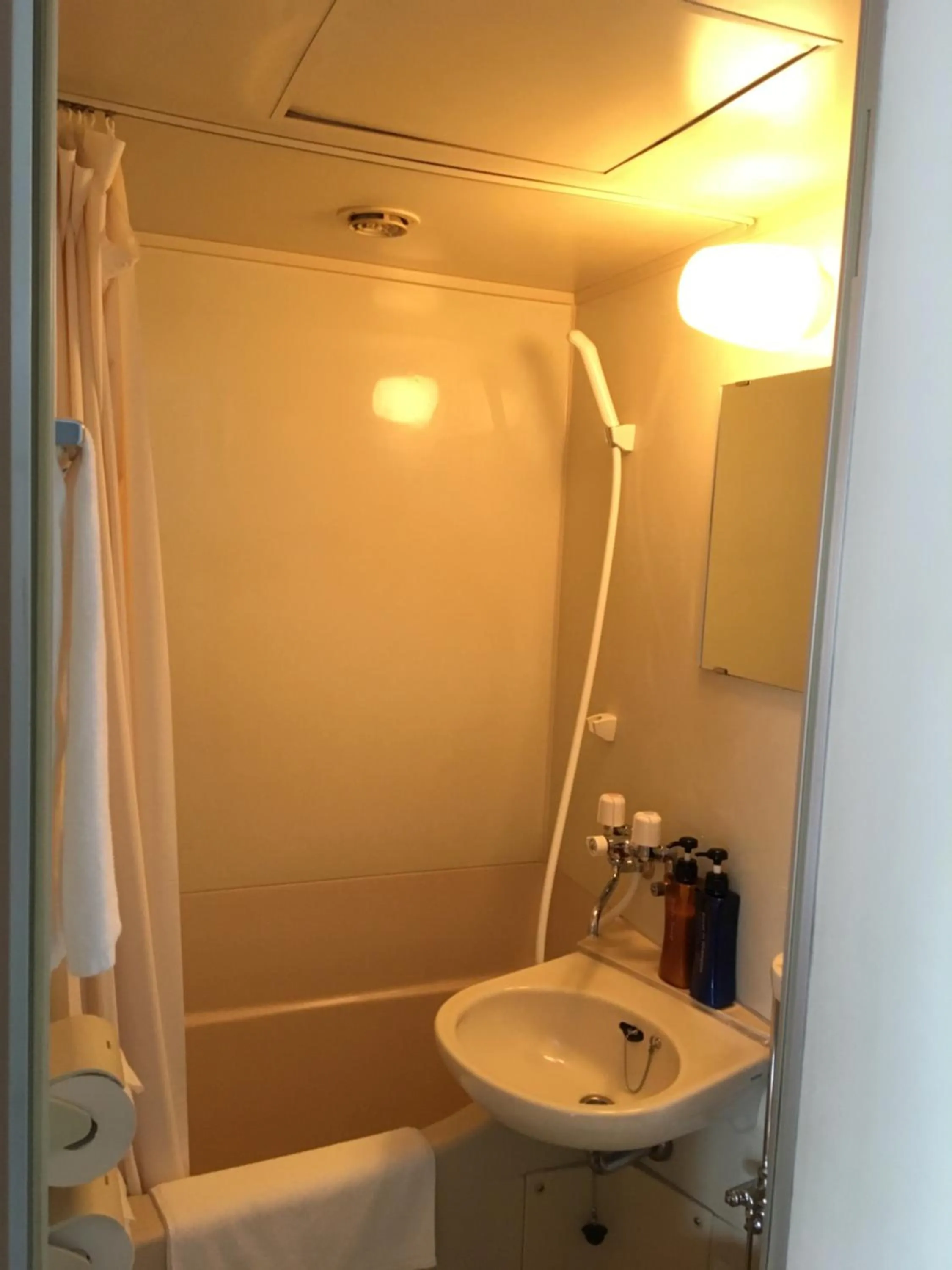 Photo of the whole room in Hotel Tetora Asahikawa Station