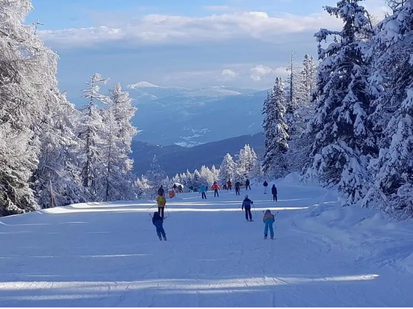 Winter in Hotel Speiereck