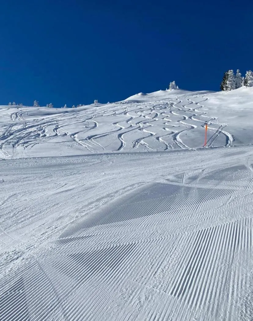 Winter in Hotel Speiereck