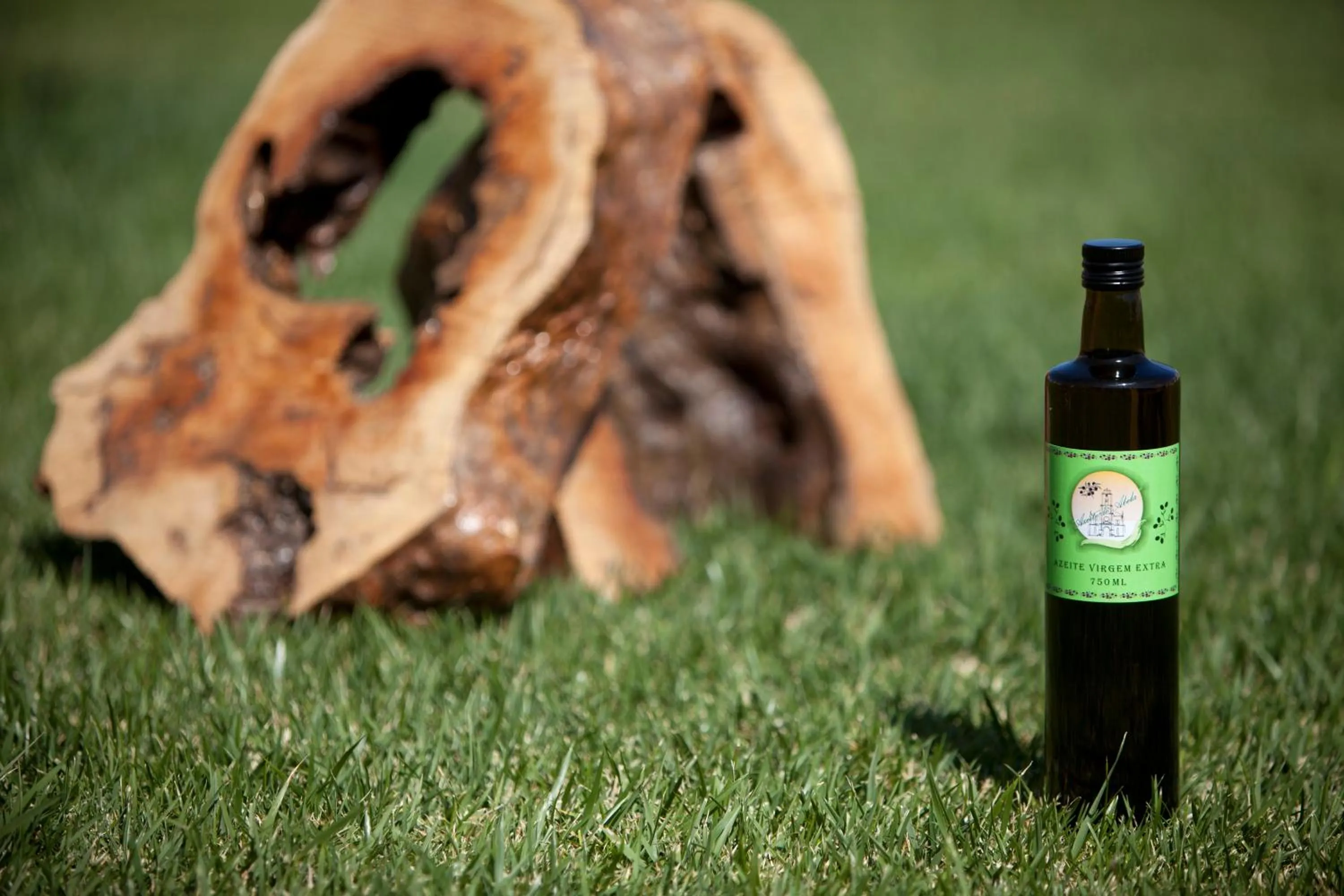 View (from property/room) in Monte do Giestal - Casas de Campo & Spa