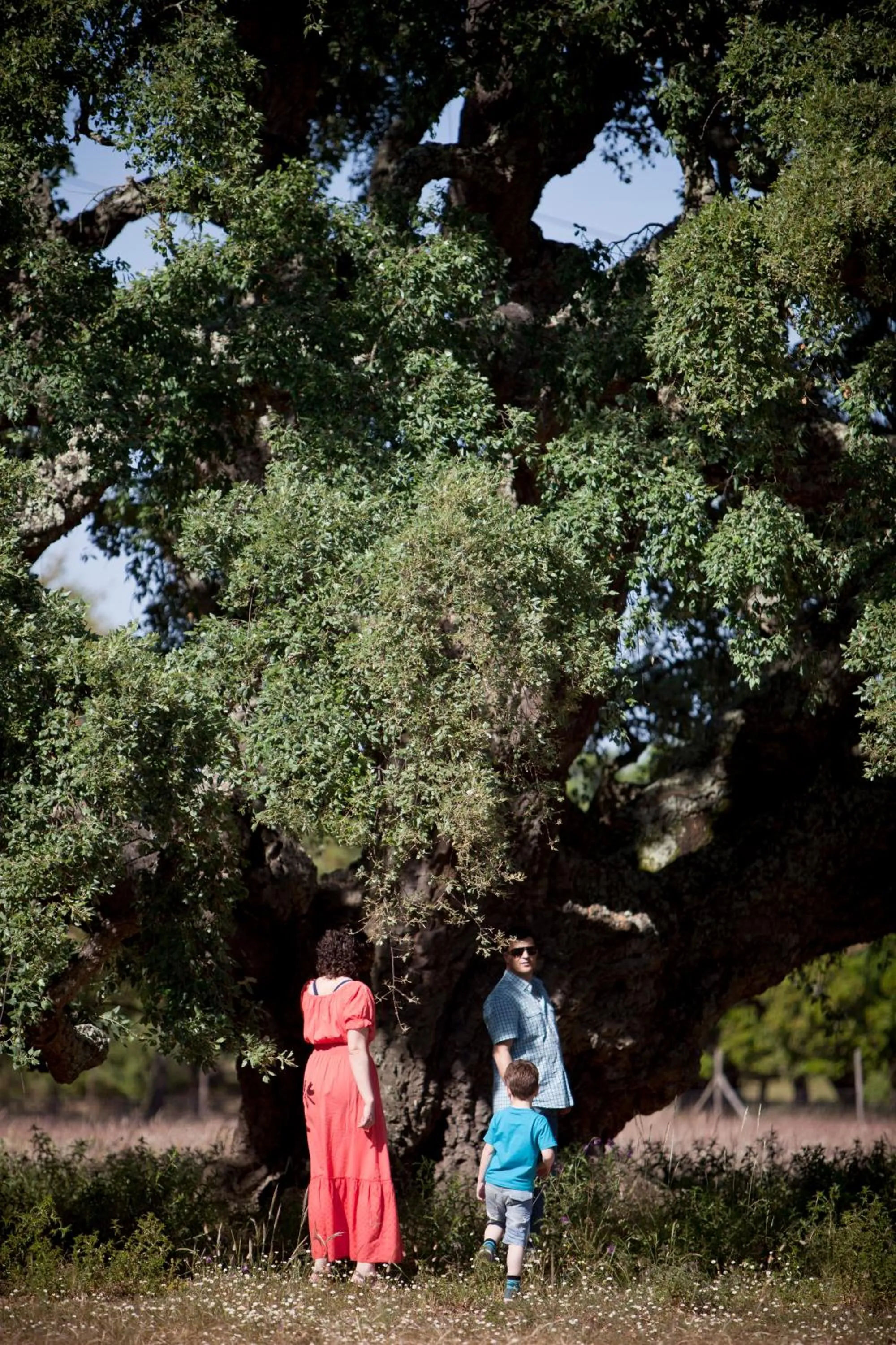 Area and facilities in Monte do Giestal - Casas de Campo & Spa