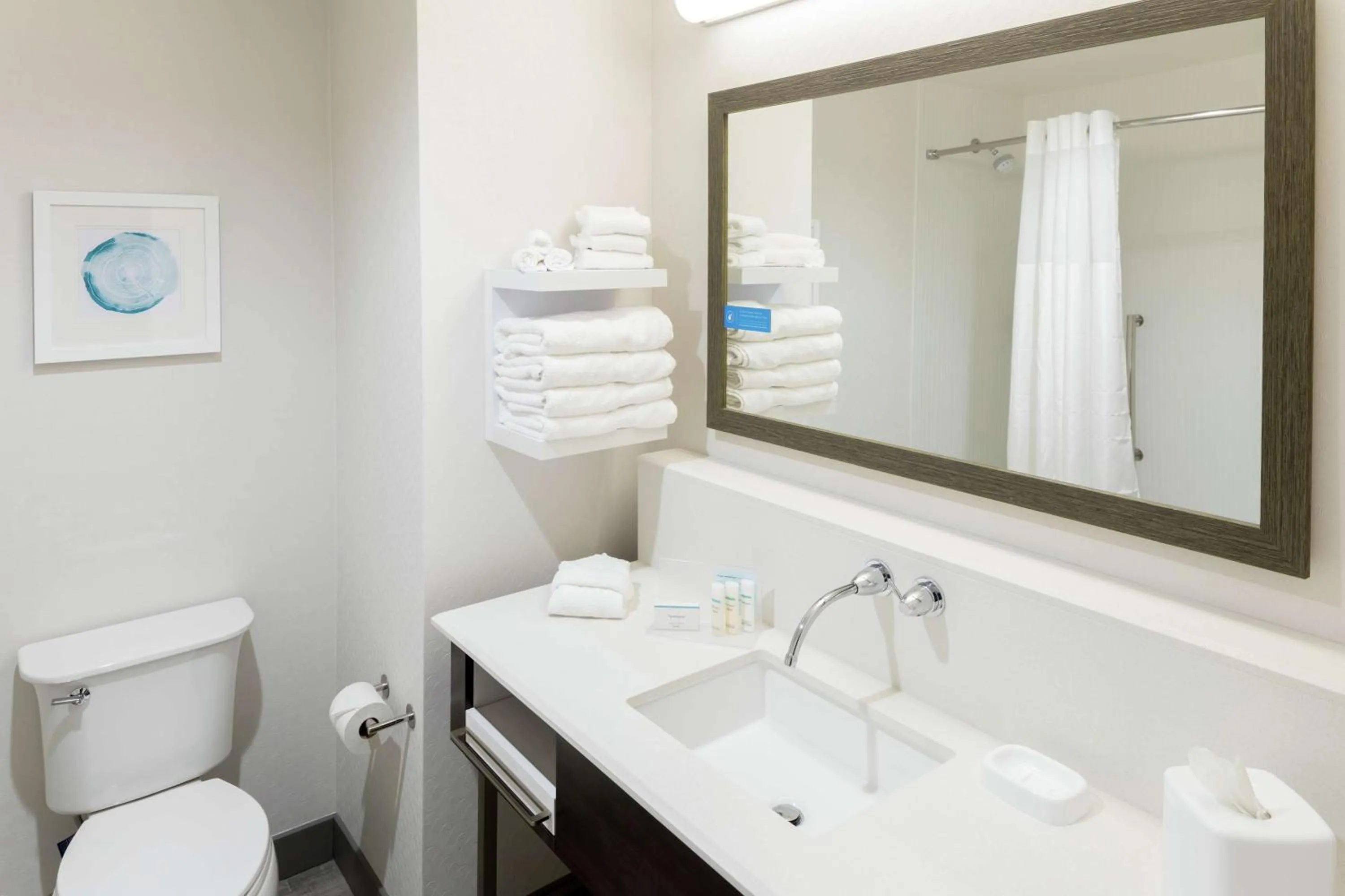 Bathroom in Hampton Inn & Suites Asheville Biltmore Area