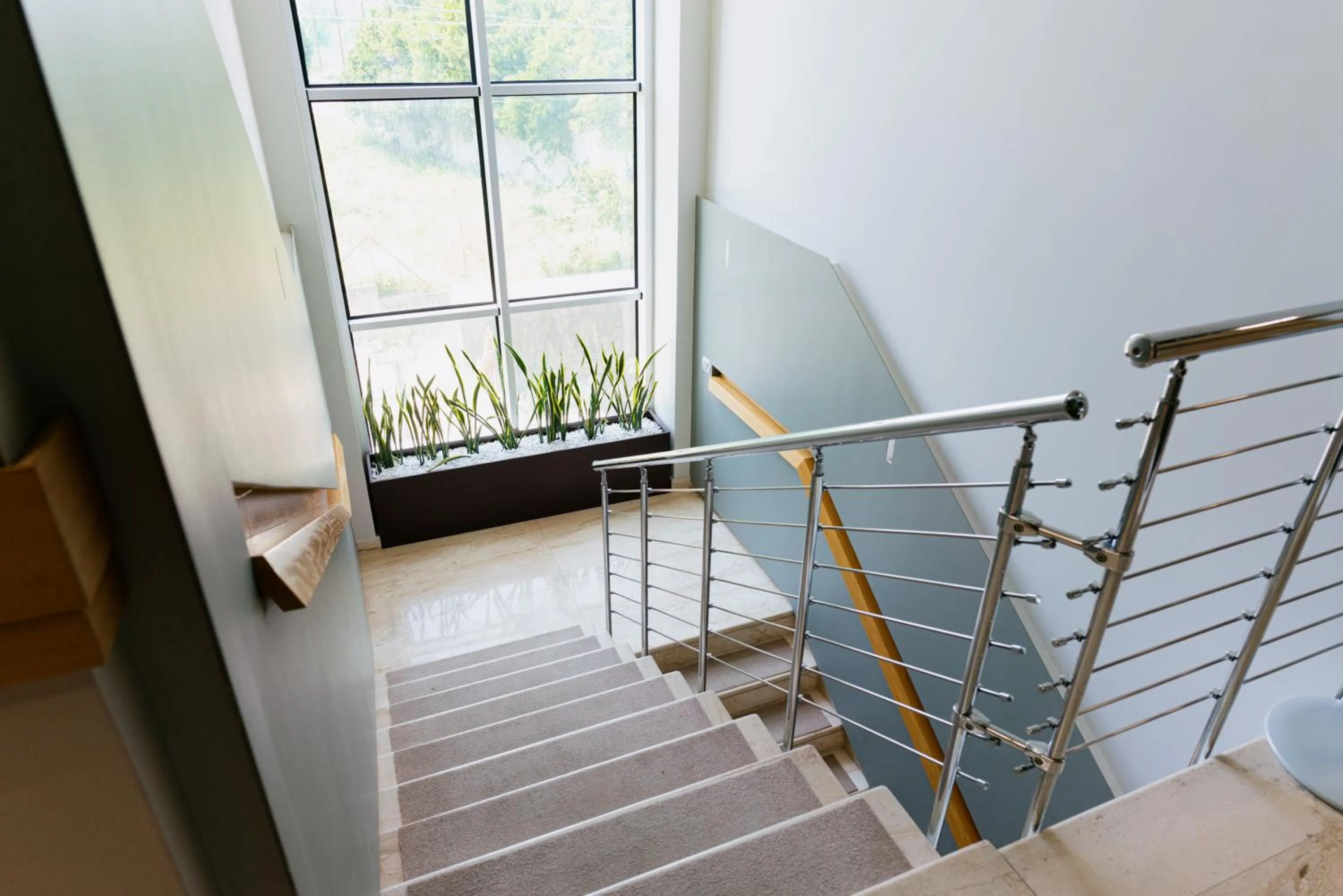 Patio in Plana Hotel