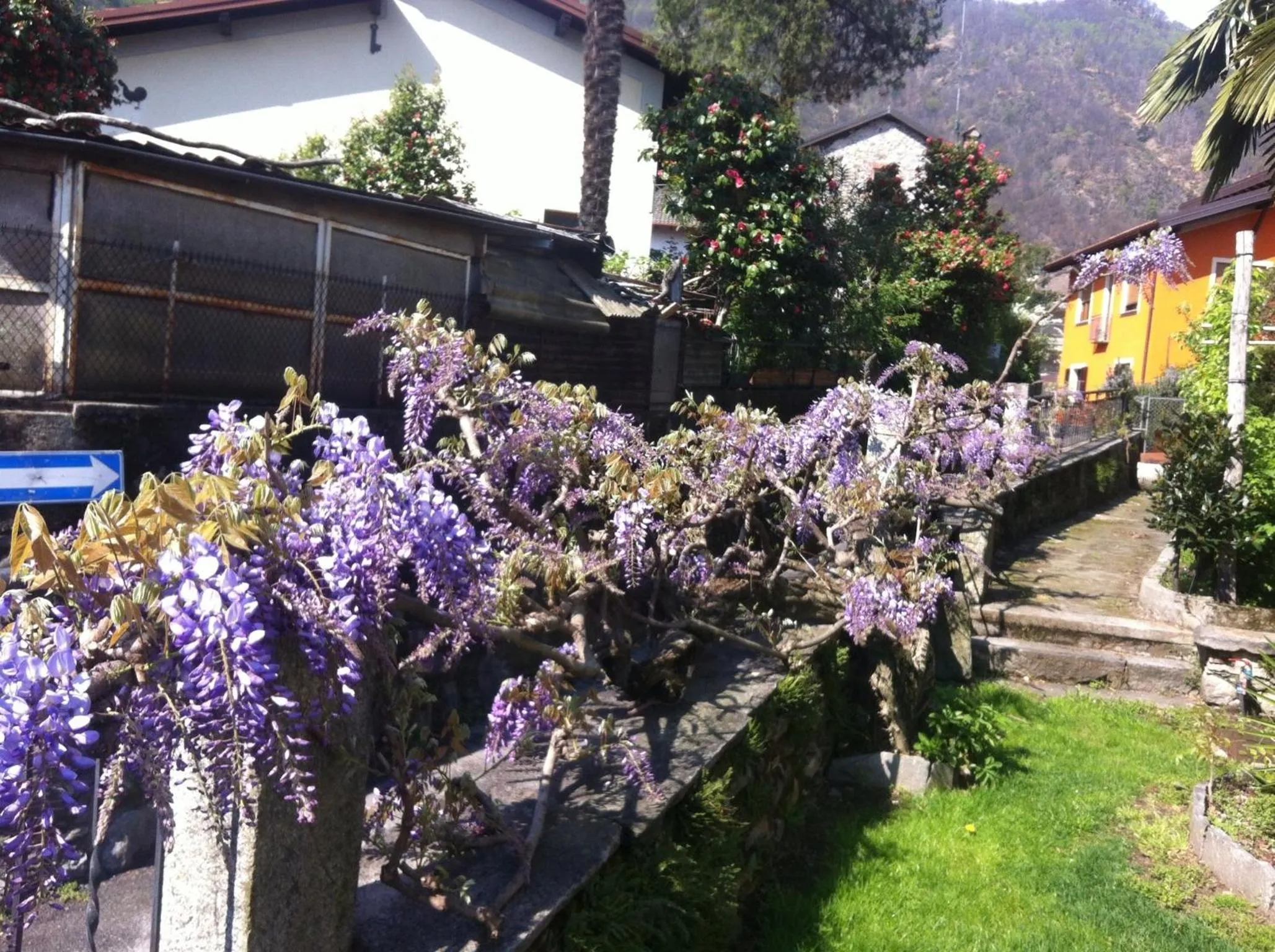 Day in B&B Villa Dei Pini