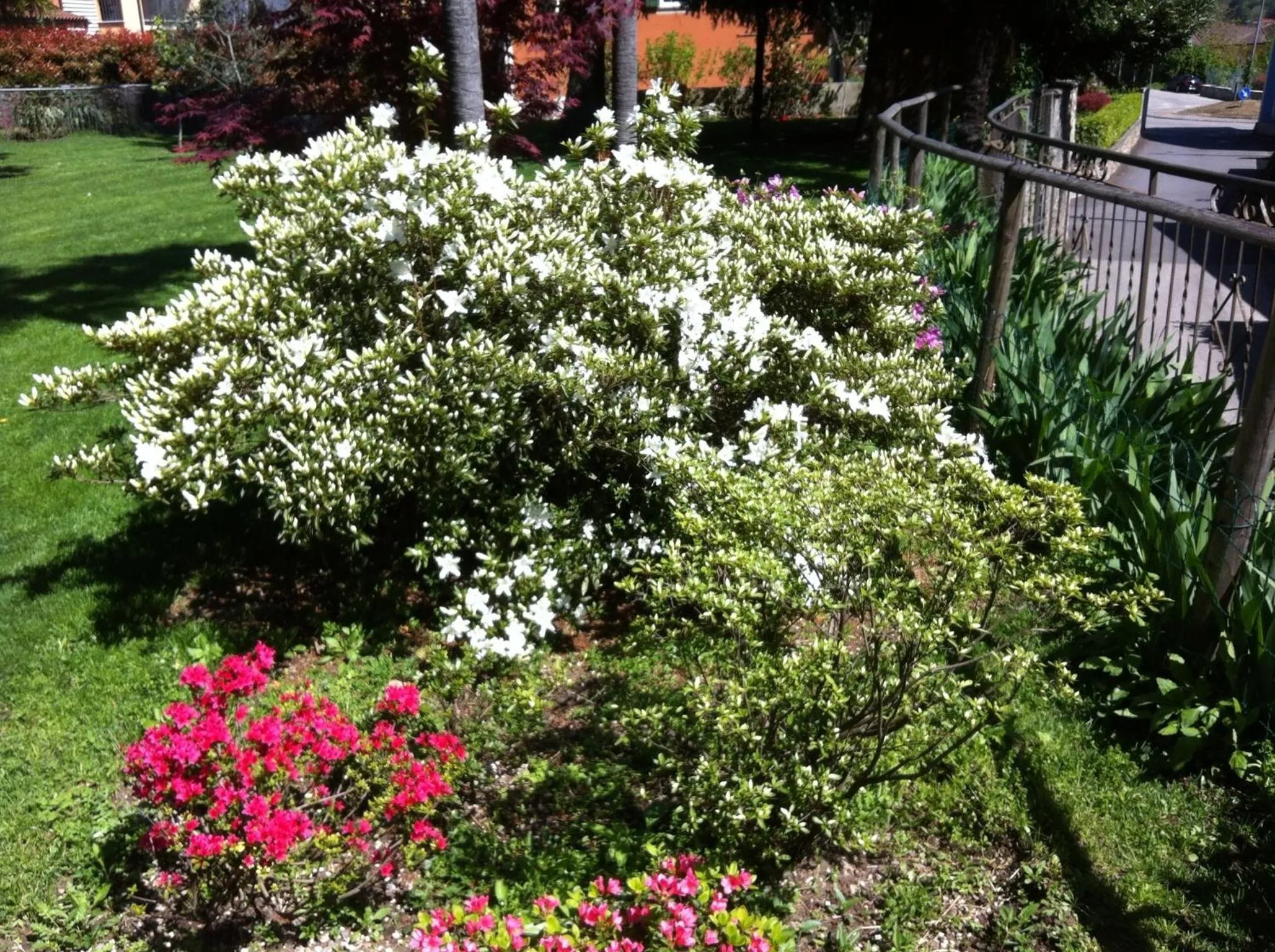 Day in B&B Villa Dei Pini