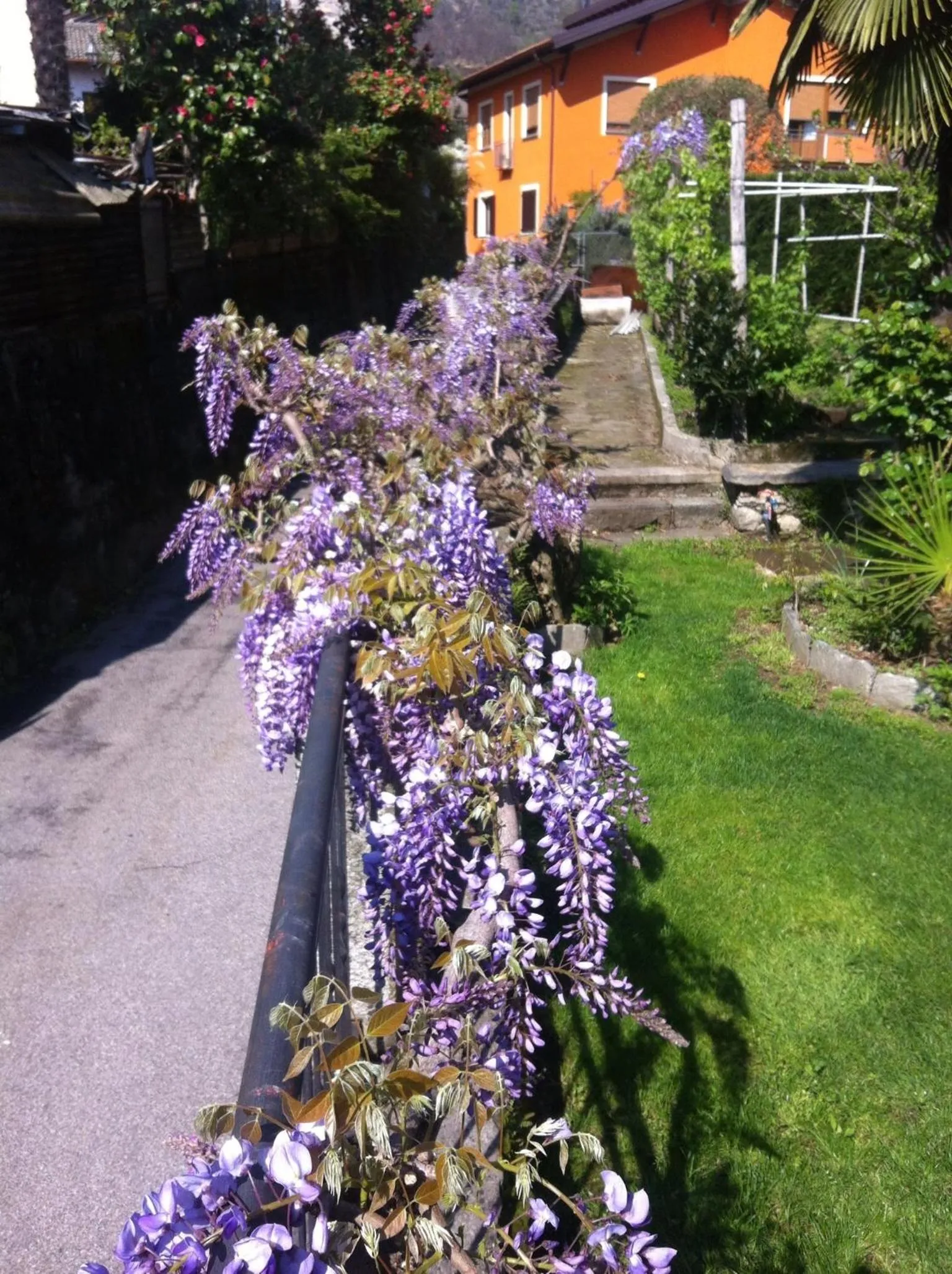 Garden in B&B Villa Dei Pini