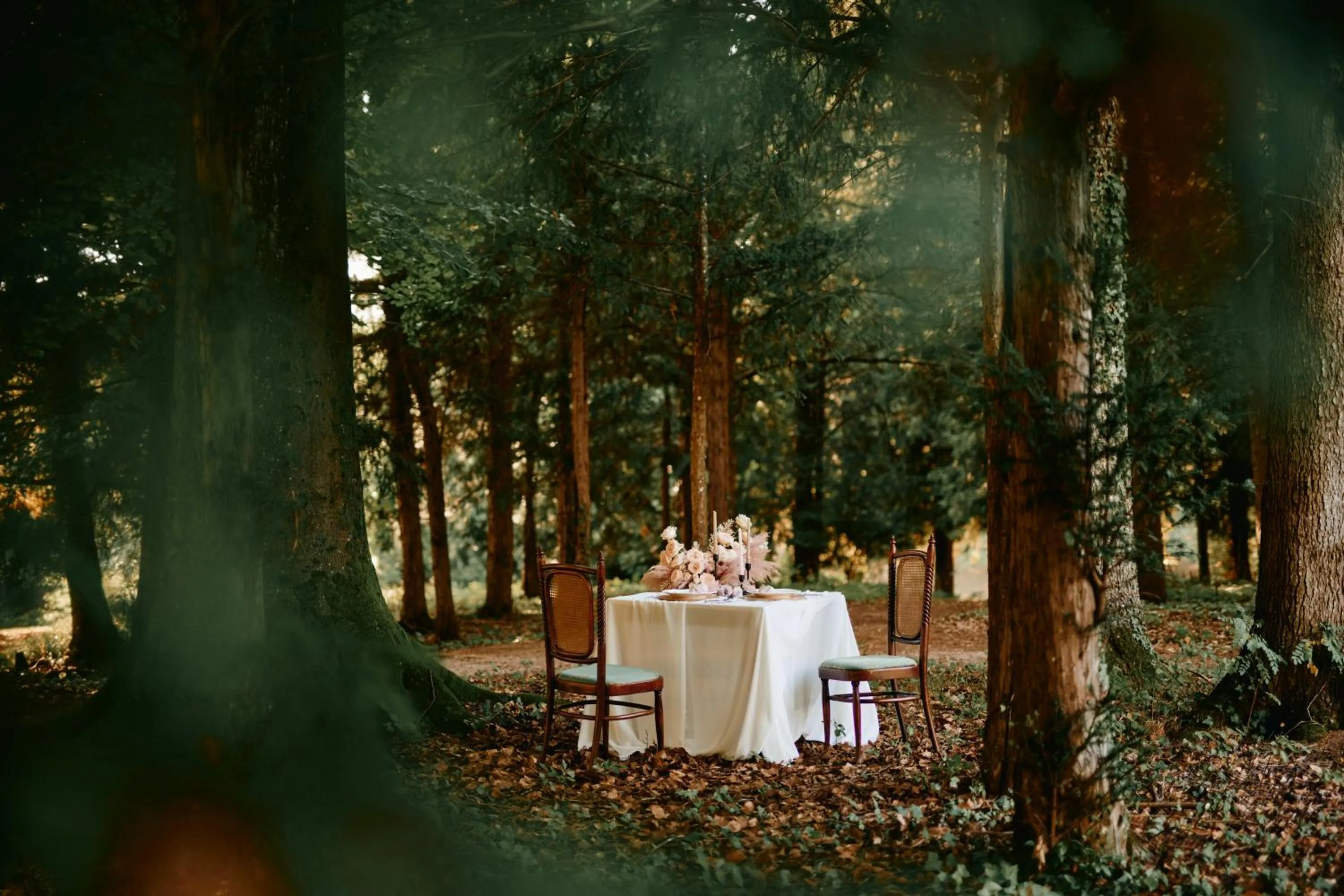 Banquet/Function facilities in Mokrice Castle Estate