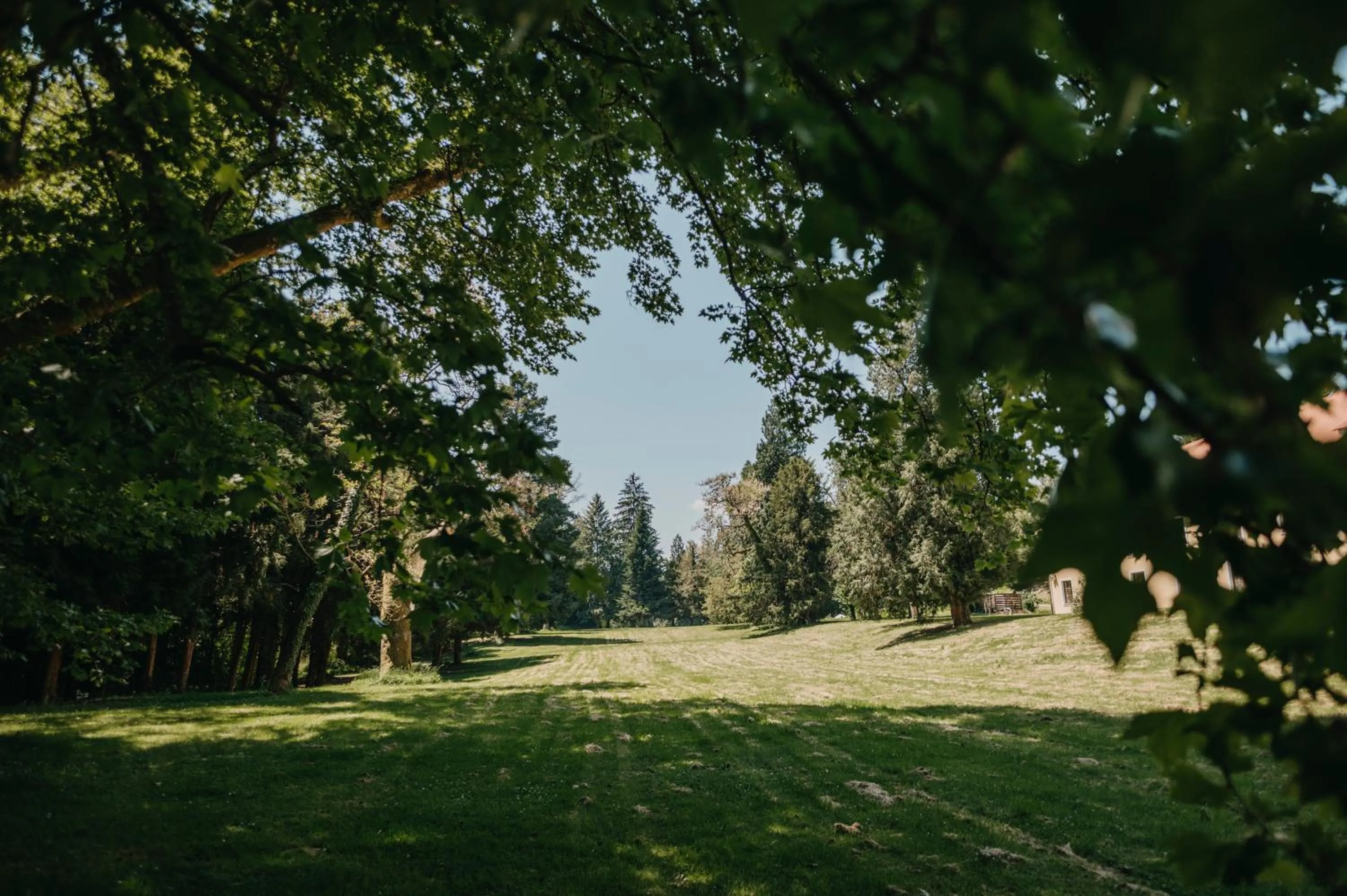 Day in Mokrice Castle Estate