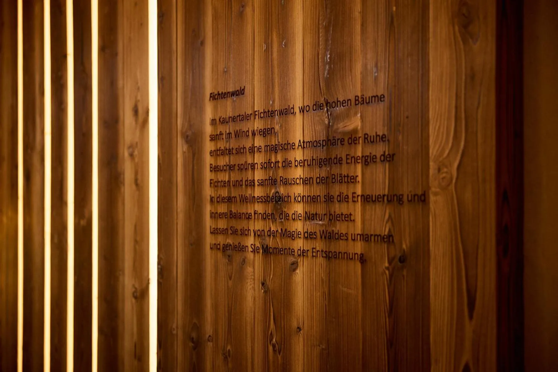 Sauna in Natur Alpin Hotel Feichtner Hof