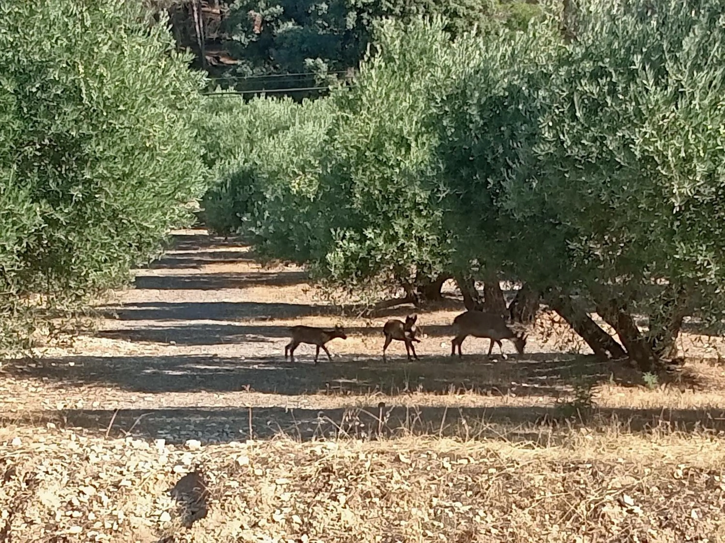 Property building in Hotel San Julian