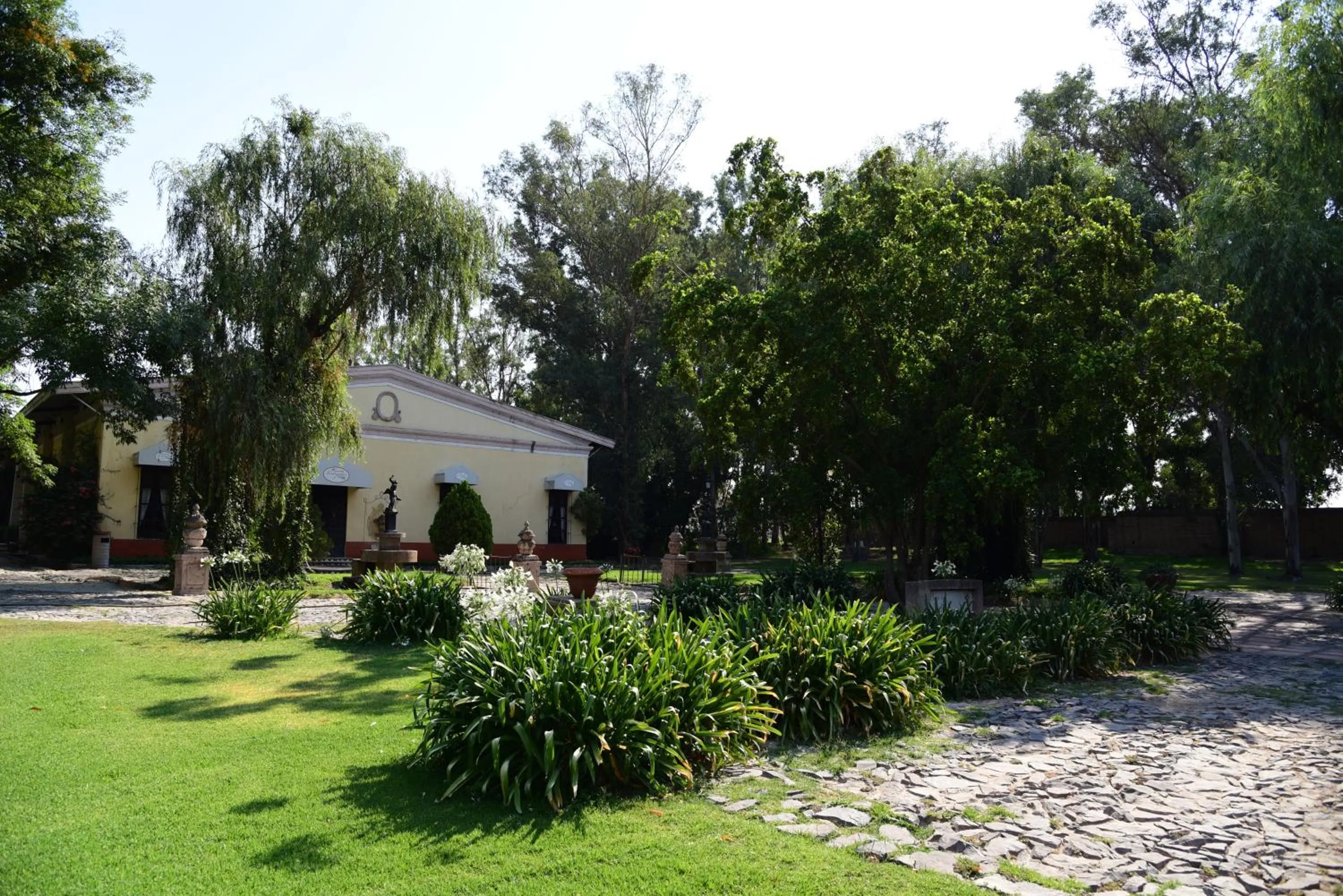 Garden in Hacienda La Magdalena